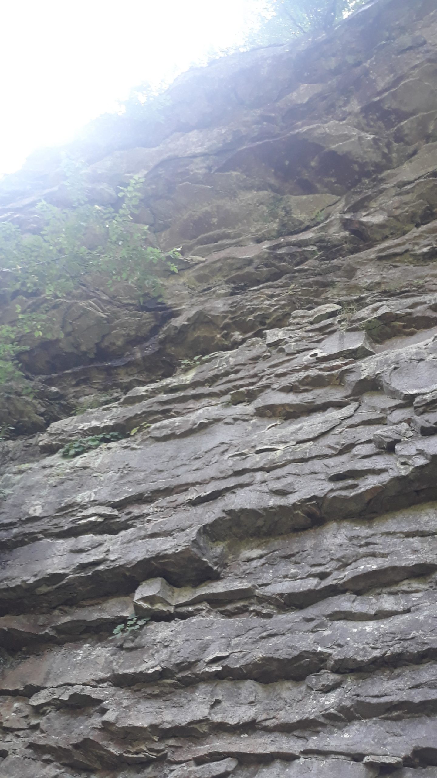 A close-up view of a rugged rock face, showcasing layered stone formations with patches of greenery and soft lighting at the top. The image captures the natural texture and details of the rock surface, highlighting the geological features. Duck River mountain bike trail.