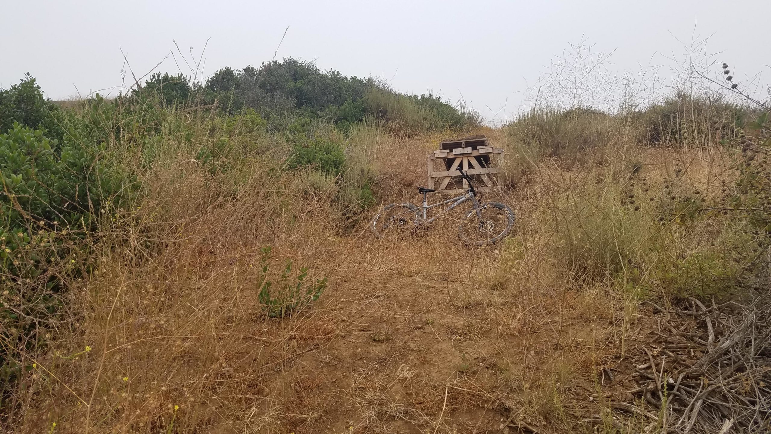 A desolate outdoor scene featuring a bicycle resting on the ground amidst tall, dry grass and sparse bushes. In the background, there is a small wooden structure, likely a picnic table, partially obscured by the overgrown vegetation. The atmosphere appears hazy, possibly due to fog or smoke. Tuley Canyon Switchbacks mountain bike trail.