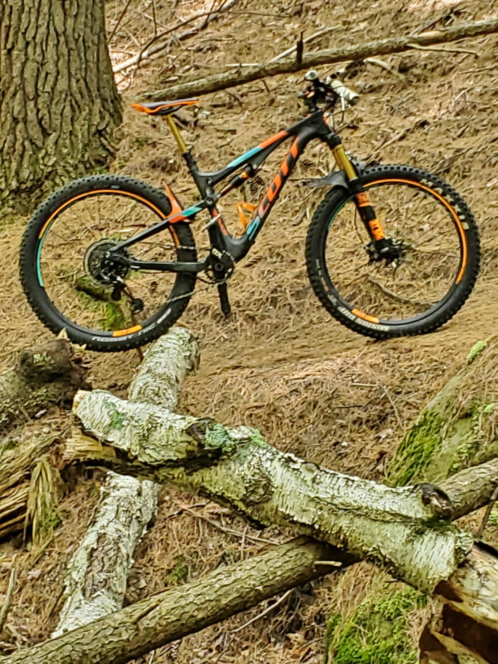 A Scott mountain bike positioned on a fallen log in a wooded area, surrounded by pine needles and trees. The bike features a black frame with orange and teal accents, showcasing its rugged design suitable for off-road trails. Bear Brook mountain bike trail.