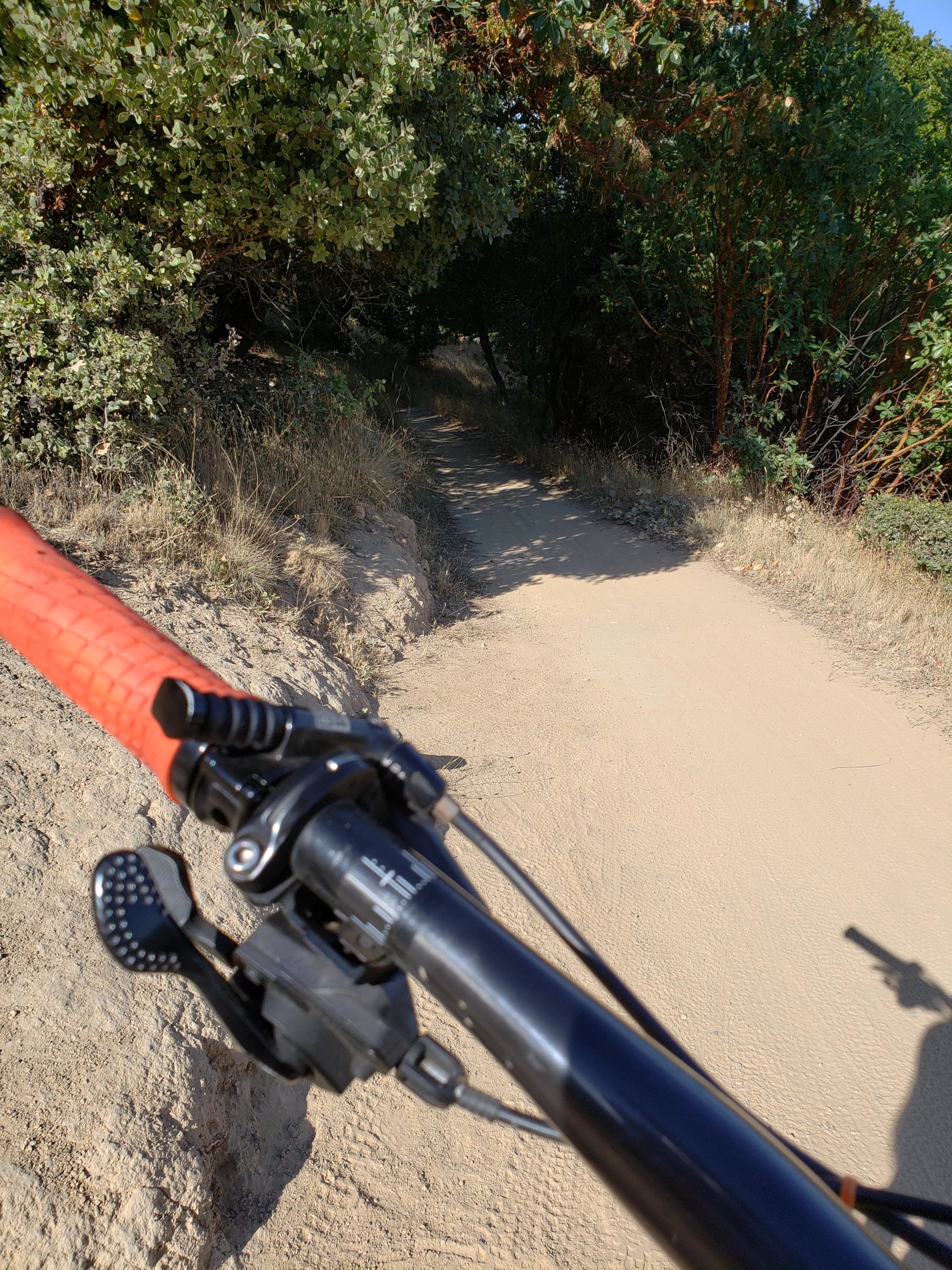 Mountain bike handlebars viewed from the rider's perspective, with a dirt trail ahead surrounded by greenery. The image captures the handlebars, gear shifter, and a glimpse of the trail leading into a wooded area. Sunlight illuminates the scene, creating a serene outdoor atmosphere. China Camp mountain bike trail.