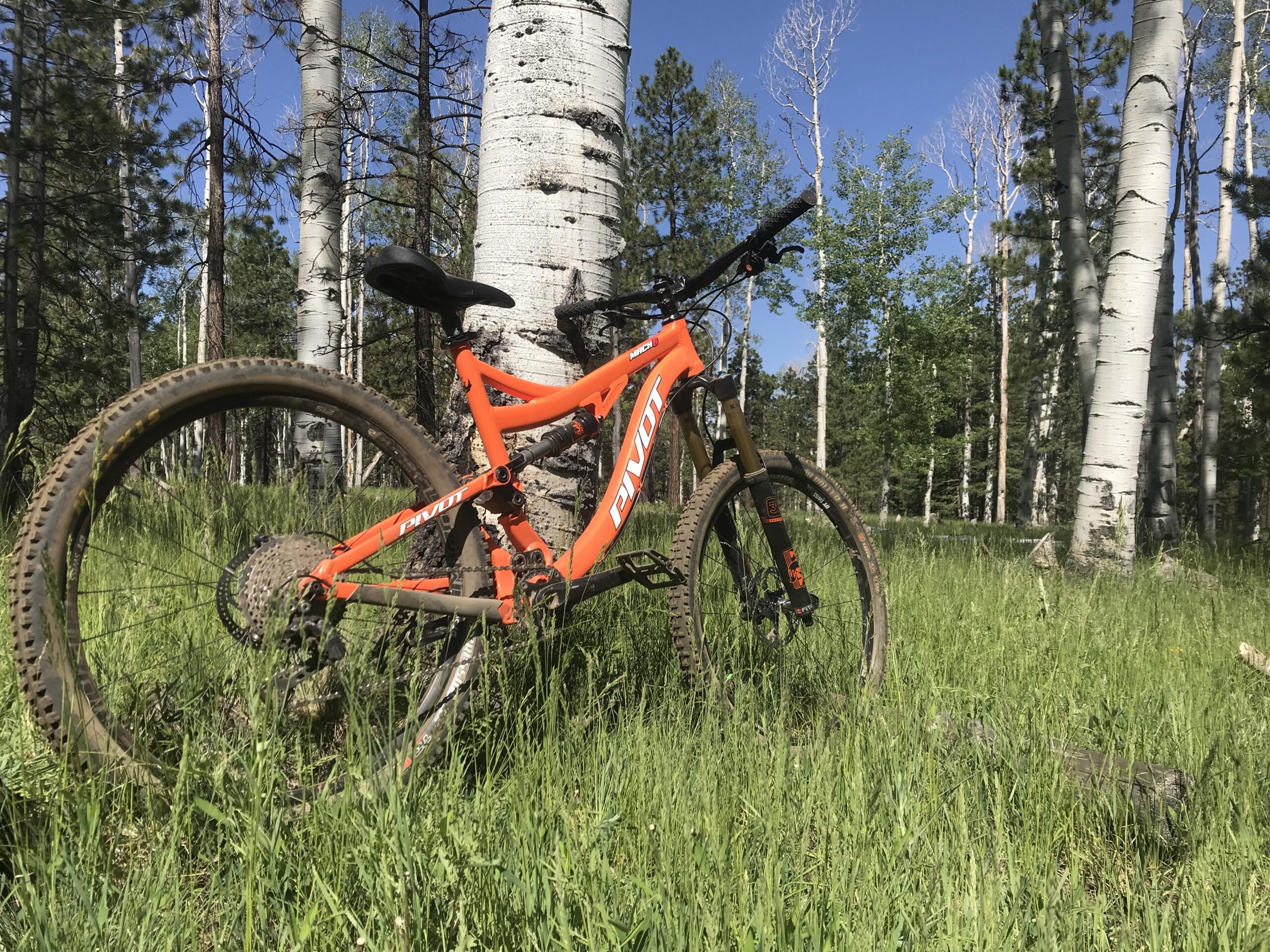 Pivot Mach 6: A bright orange mountain bike resting on green grass, surrounded by tall trees and blue skies. The bike is partially muddy, indicating recent use in a forested area.