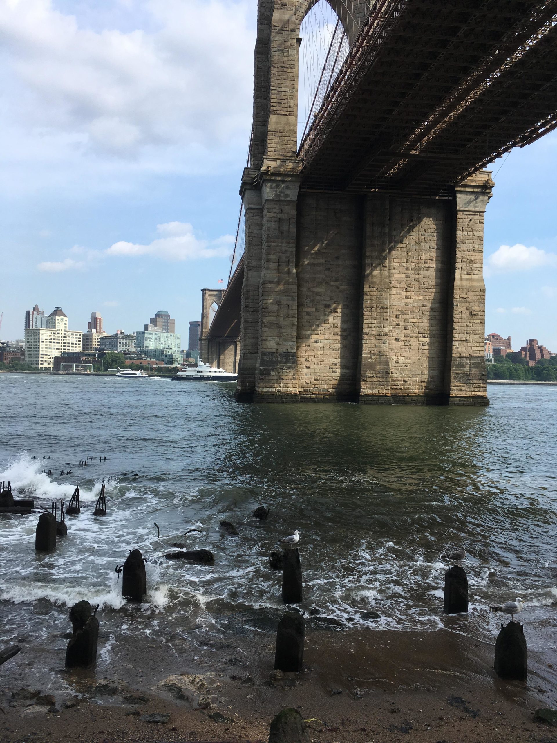 Image of the underside of a large bridge crossing a river, with stone supports visible and a city skyline in the background. The foreground features rocky shorelines and small waves lapping against remnants of old wooden posts, with a couple of seagulls perched on some of the posts. The sky is partly cloudy. East Side Green way 34th st to the Staten Island Ferry mountain bike trail.