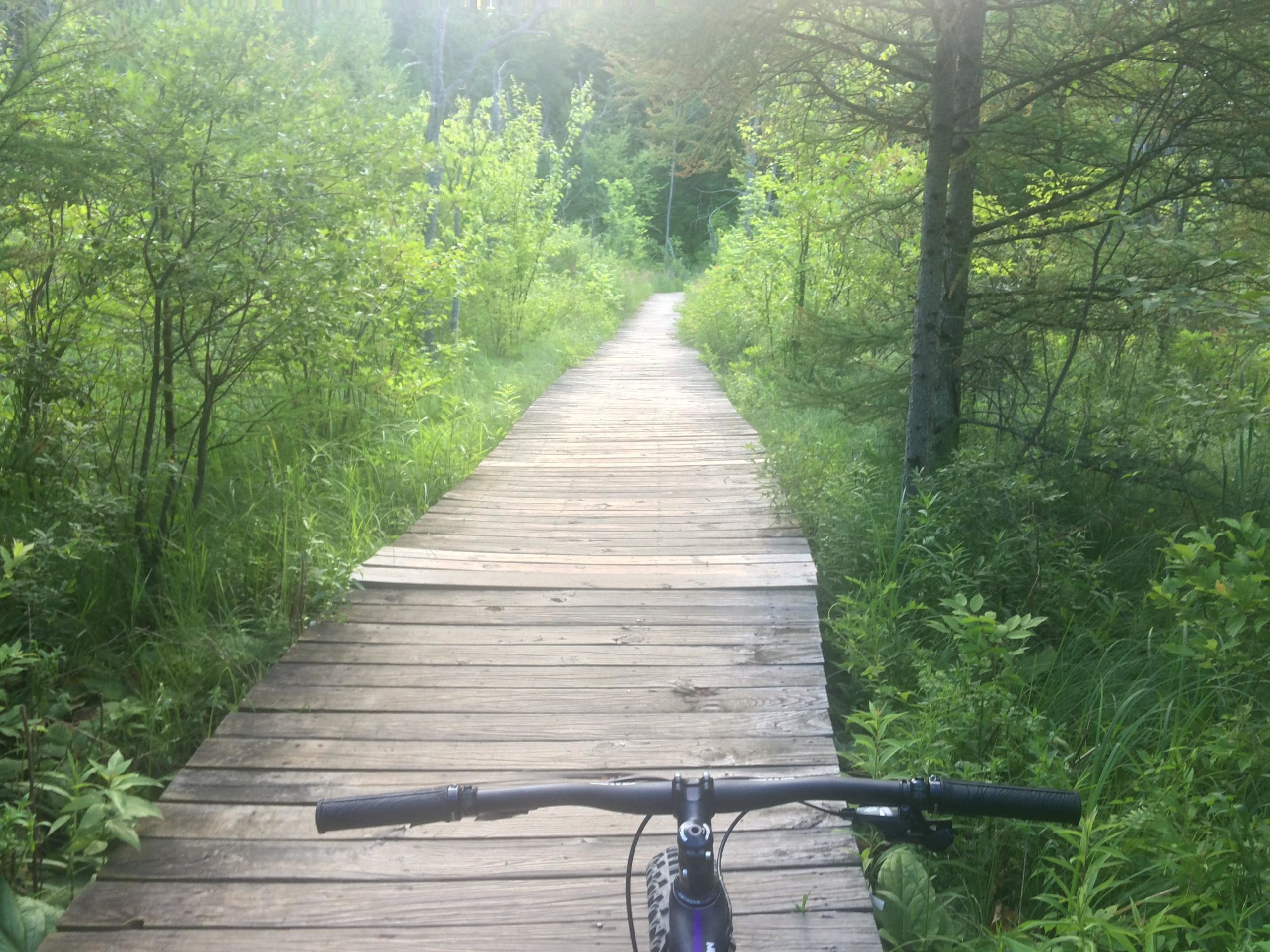 A wooden path winding through a lush green forest, viewed from the perspective of a cyclist holding the handlebars of a mountain bike. Sunlight filters through the trees, illuminating the vibrant foliage along the trail. Potawatomi trail mountain bike trail.