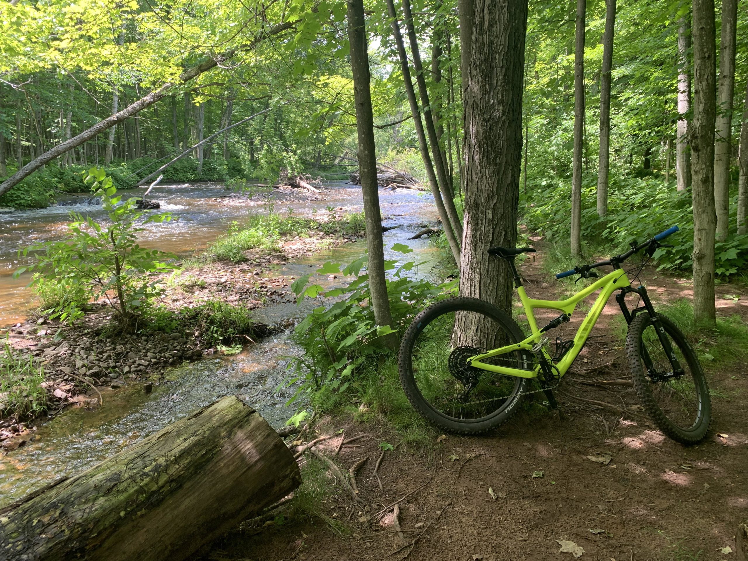 A bright yellow mountain bike rests against a tree by a flowing creek, surrounded by lush green foliage and tall trees in a serene forest setting. Noquemanon Trails Network: South Marquette Trails mountain bike trail.