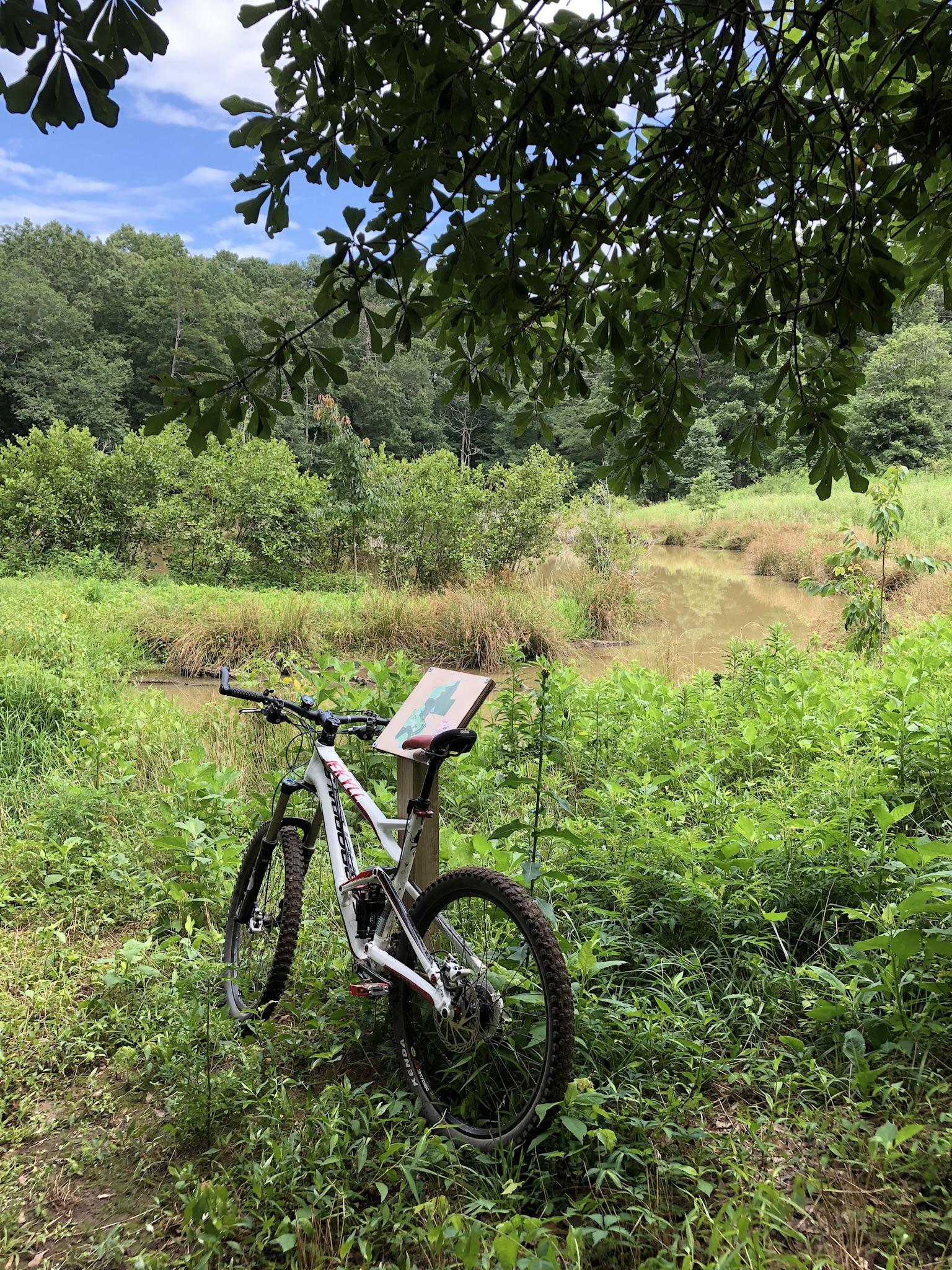 A mountain bike parked near a wetland area, surrounded by lush green vegetation and trees. In the background, a small pond is visible, along with a trail sign featuring a map. The sky is partly cloudy, creating a tranquil outdoor scene. Matt Community Park mountain bike trail.