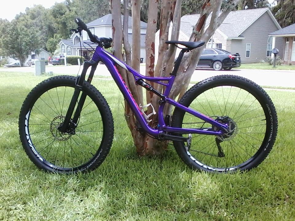 Specialized Camber Comp 29: A purple mountain bike leaning against a tree in a grassy area, with suburban houses visible in the background.