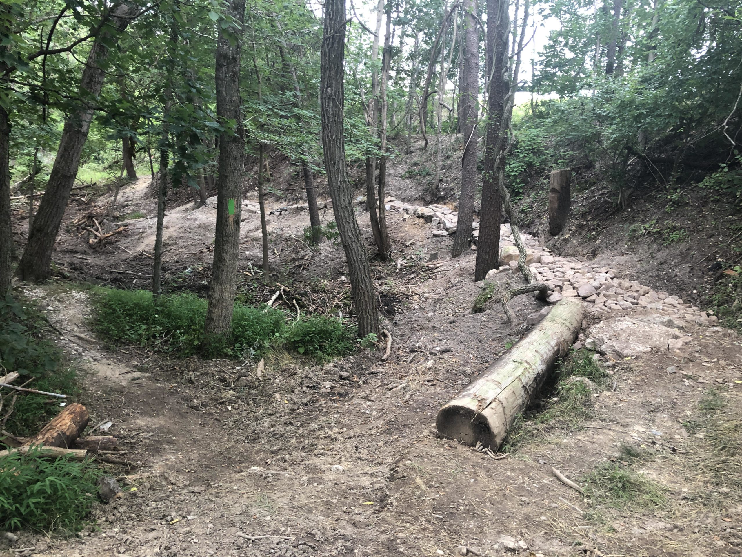 A wooded area featuring a small cleared path surrounded by trees. In the foreground, there is a fallen log and a rocky pathway leading through the landscape. The background shows a slight elevation with a mix of dirt and foliage, indicating an uneven terrain. Green markings on a tree suggest a trail or route. Fairland Recreational Park mountain bike trail.