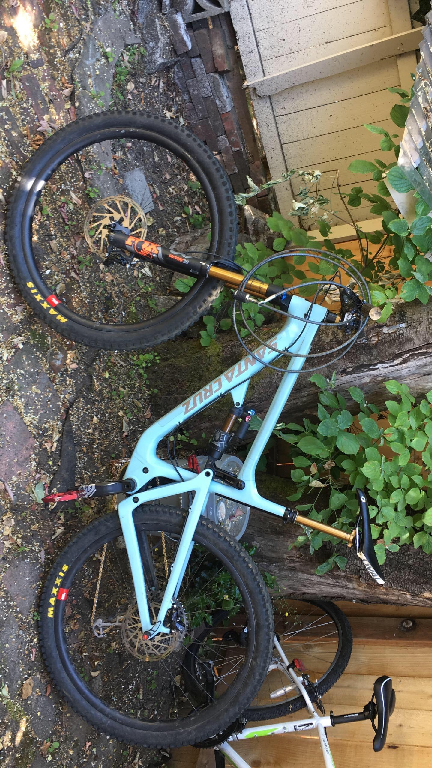 Santa Cruz Hightower LT: A light blue mountain bike is propped against a tree, showcasing its sleek frame and black tires. The bike features gold suspension components and is surrounded by greenery and a rustic backdrop, adding to its outdoor appeal.