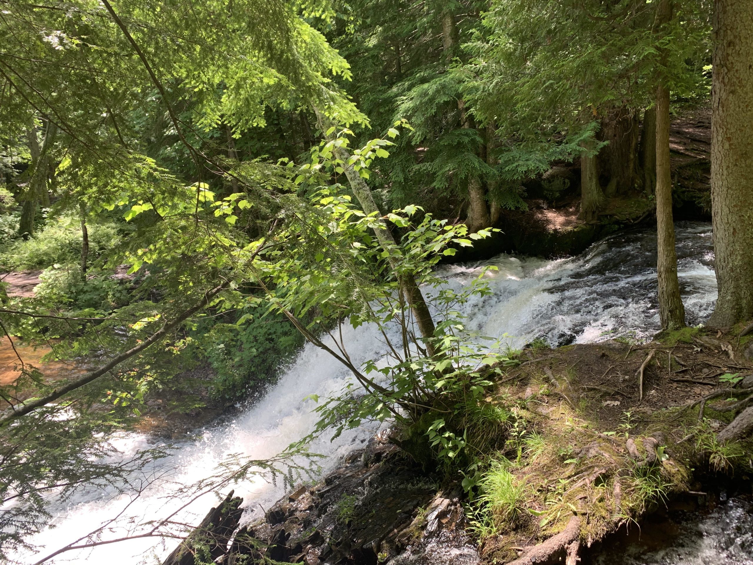 A serene view of a small waterfall cascading over rocks, surrounded by lush green trees and foliage. Sunlight filters through the leaves, creating dappled light on the water and the ground. Noquemanon Trails Network: South Marquette Trails mountain bike trail.