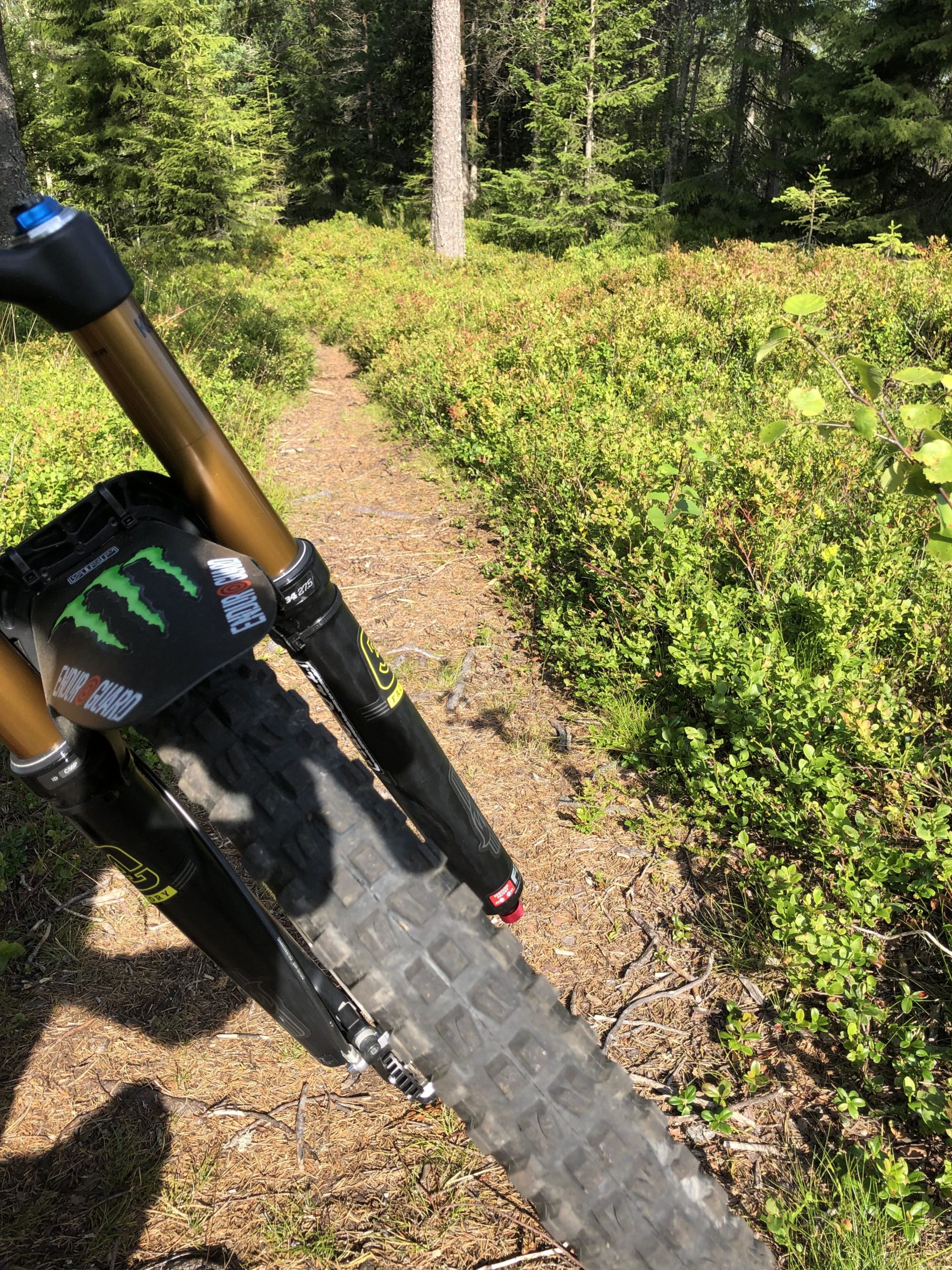 A close-up view of a mountain bike's front fork and tire, positioned on a narrow dirt trail surrounded by lush greenery and tall trees in a forested area. Singletracks i Gjelleråsen mountain bike trail.