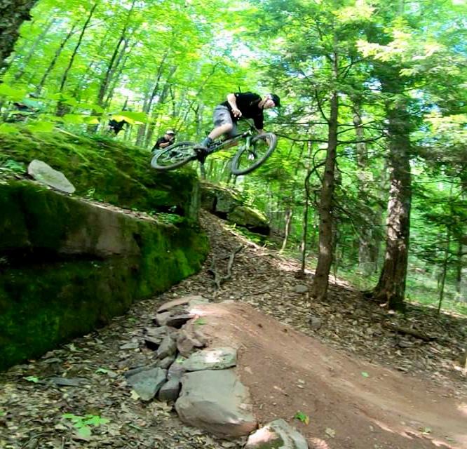 A mountain biker performing a jump off a rocky ledge in a lush green forest, with trees and scattered leaves in the background. Elm Ridge mountain bike trail.