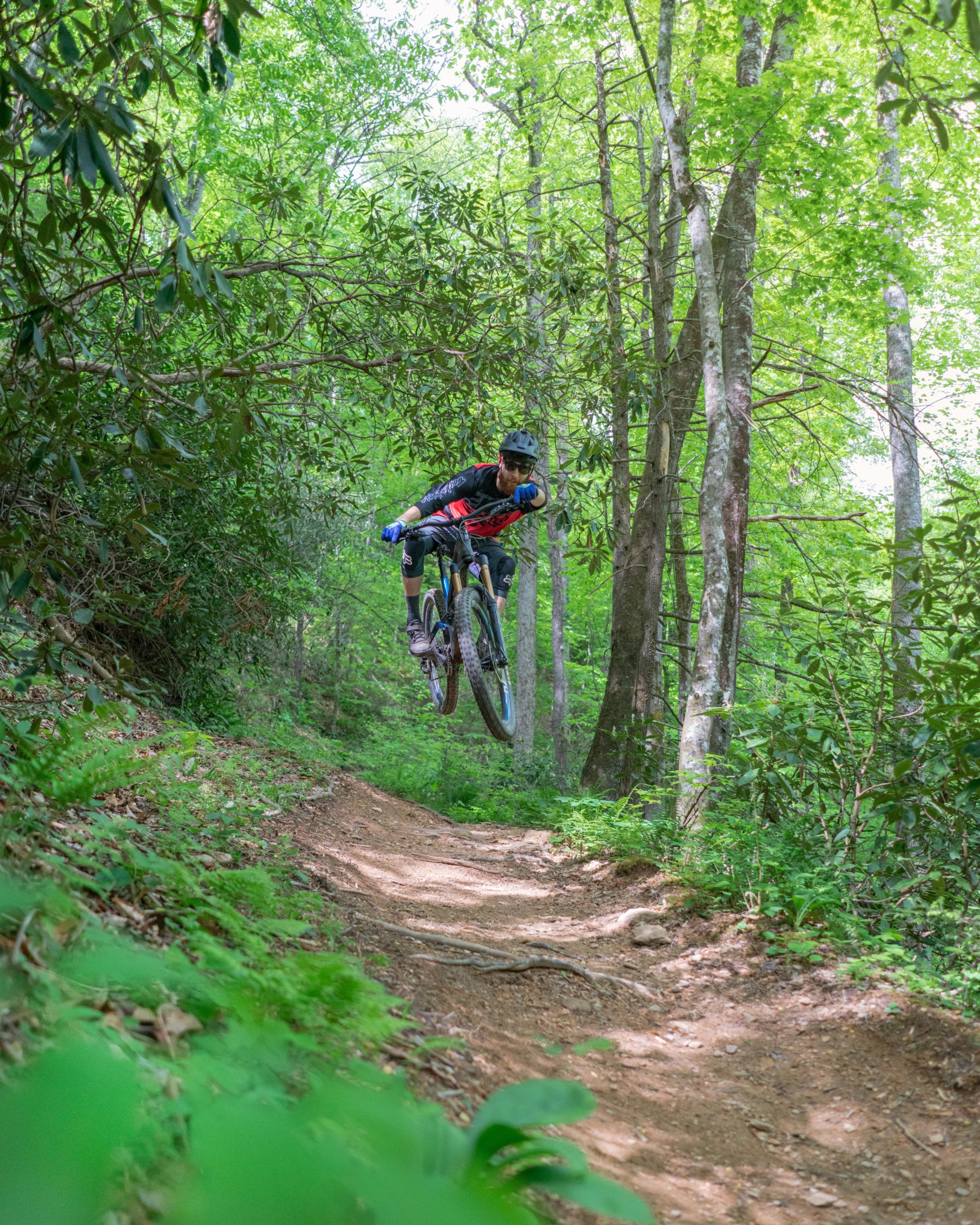 A mountain biker performs a jump on a dirt trail surrounded by lush green trees and foliage, showcasing action and athleticism in a natural setting. Bennett Gap / 138 mountain bike trail.