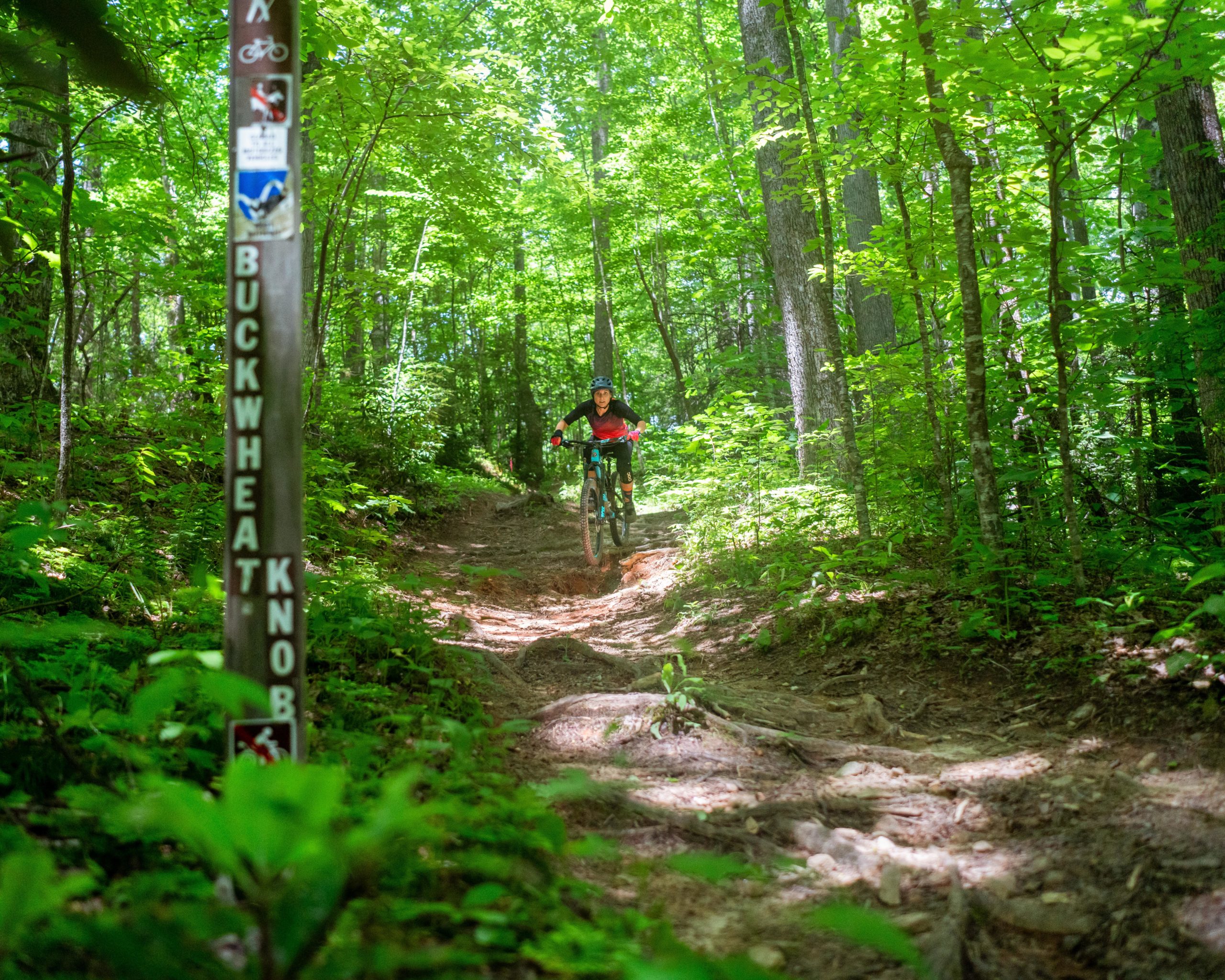 A mountain biker navigating a dirt trail surrounded by lush green trees, with a trail sign reading "Buckwheat Knob" in the foreground. The biker is airborne, capturing the excitement of the ride in a vibrant forest setting. Buckwheat Knob / 122 mountain bike trail.