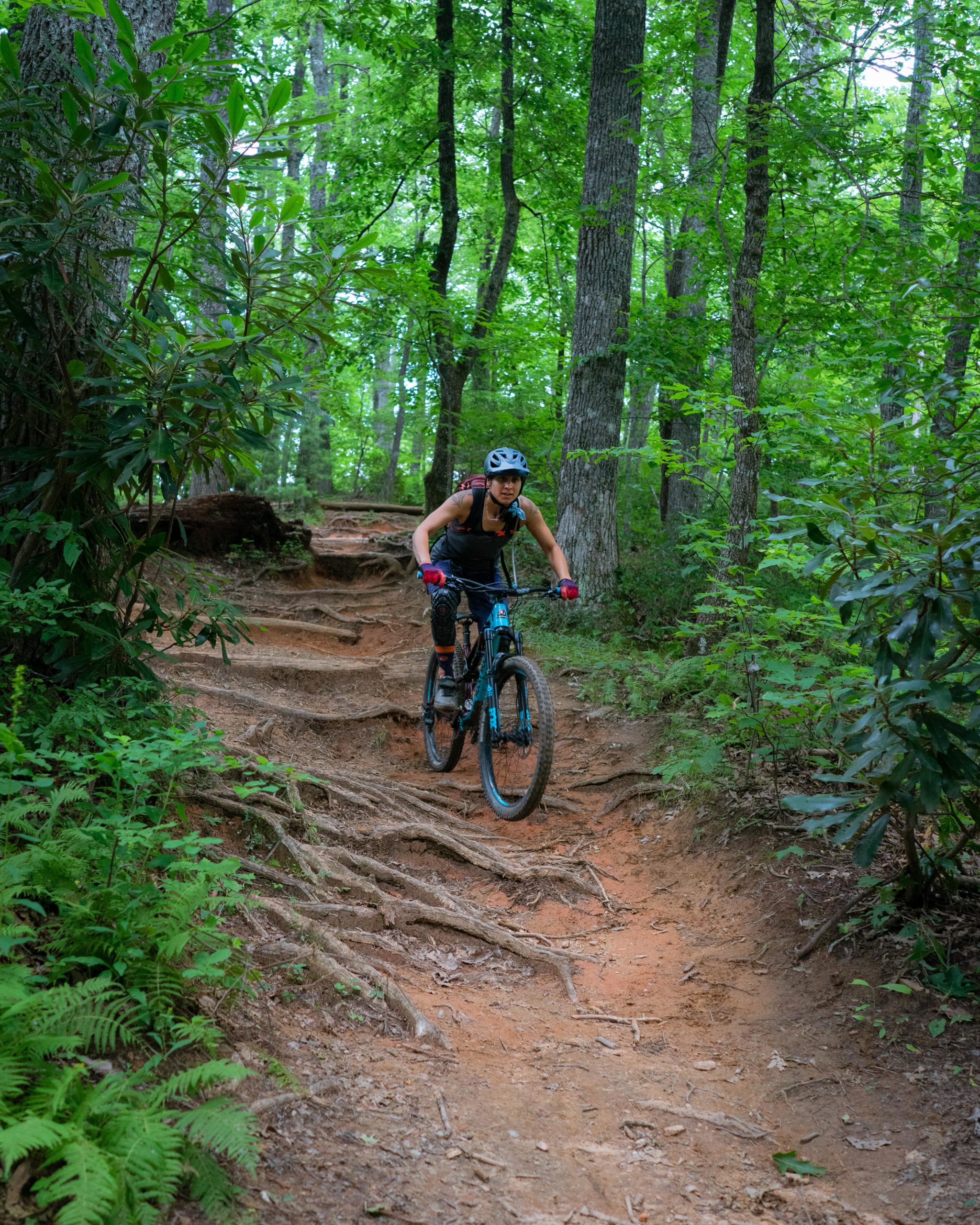 A mountain biker navigating a rocky, root-covered trail through a lush green forest. The cyclist is wearing a helmet and protective gear, focused on the path ahead as they ride. Bennett Gap / 138 mountain bike trail.