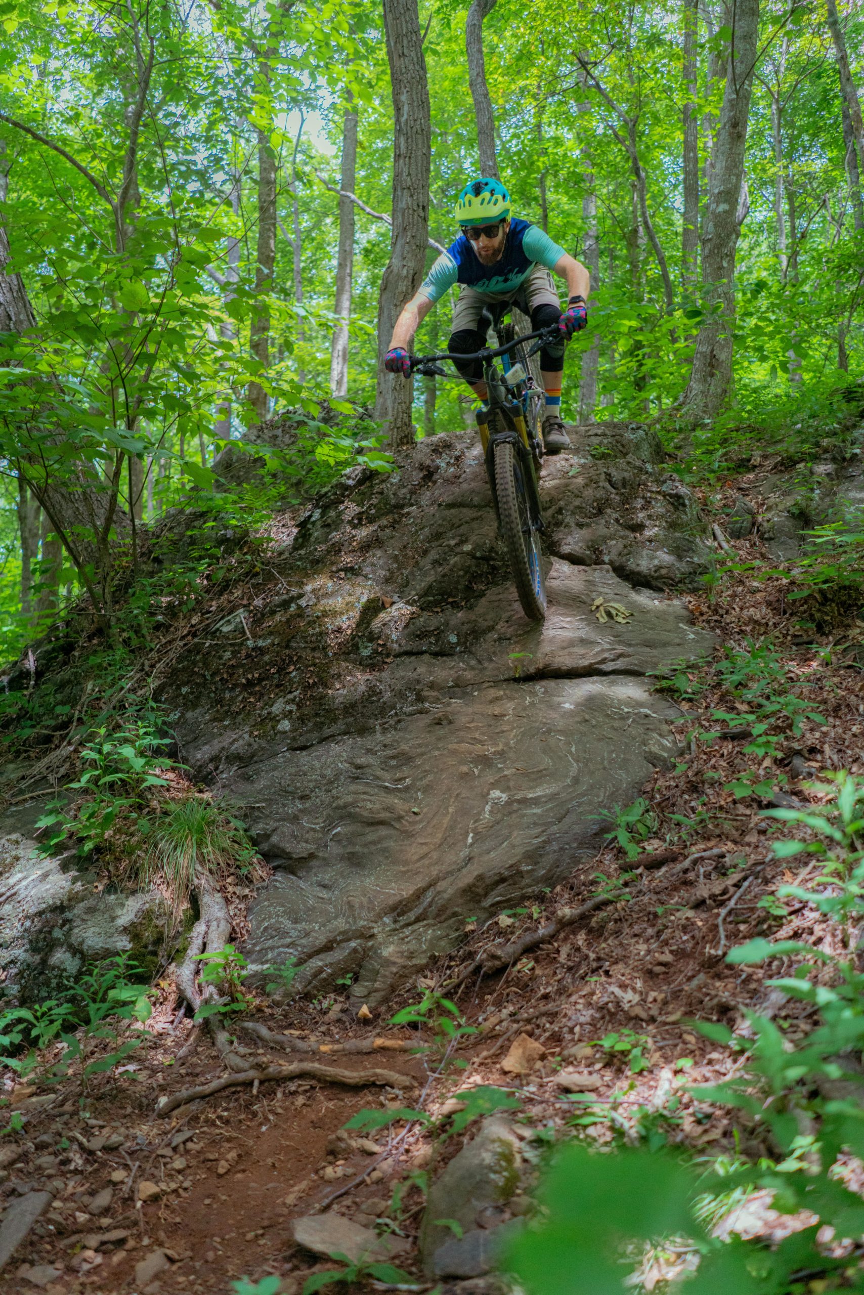 A mountain biker navigating over a rocky section of a forest trail, surrounded by lush green foliage and trees. The biker is crouched low on the bike, wearing a helmet and protective gear, as they expertly balance on the uneven terrain. Rocky Knob Park mountain bike trail.