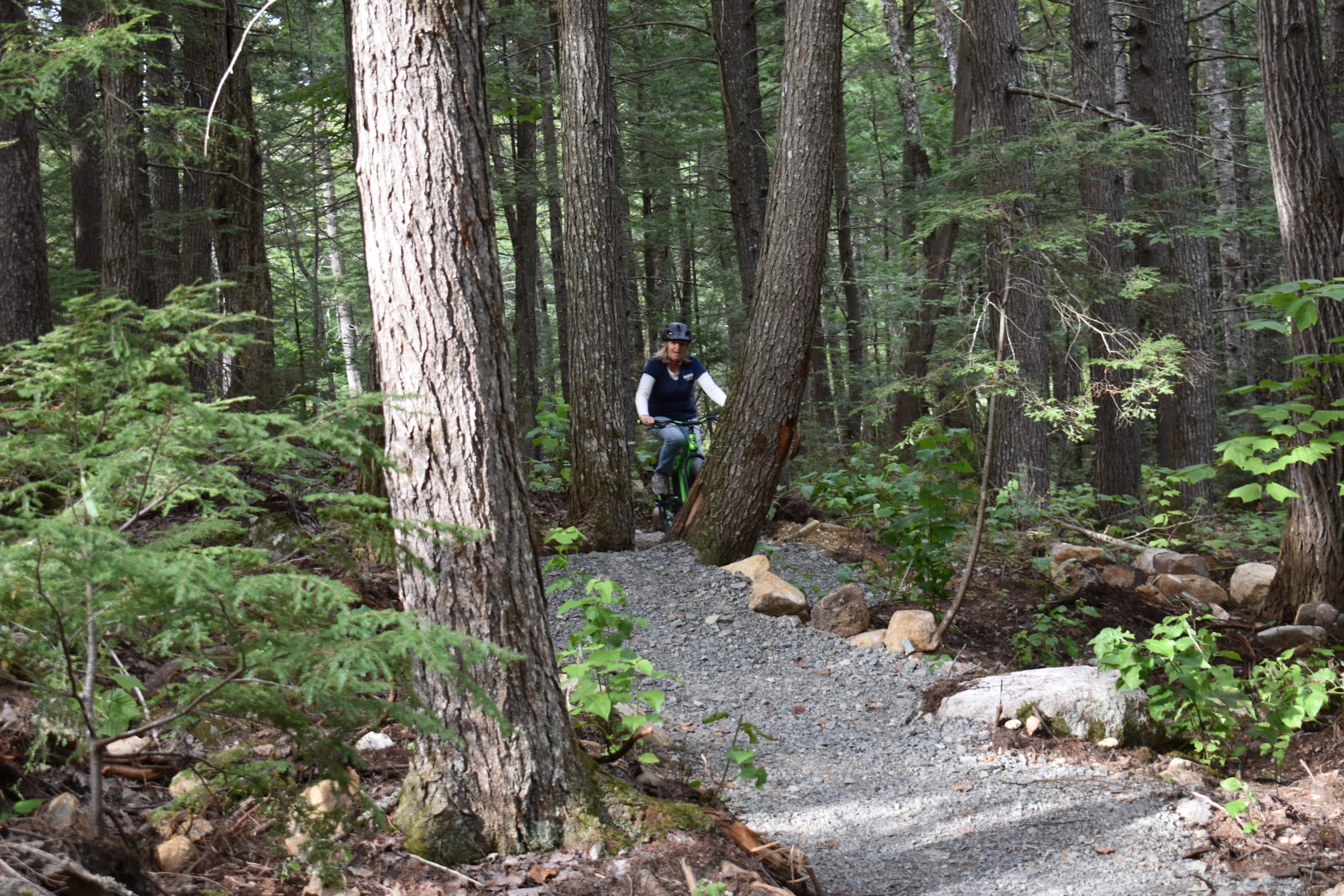 A person riding a mountain bike on a narrow gravel trail surrounded by tall trees and lush greenery in a forested area. Katahdin Area Trails 5 Mile Loop mountain bike trail.