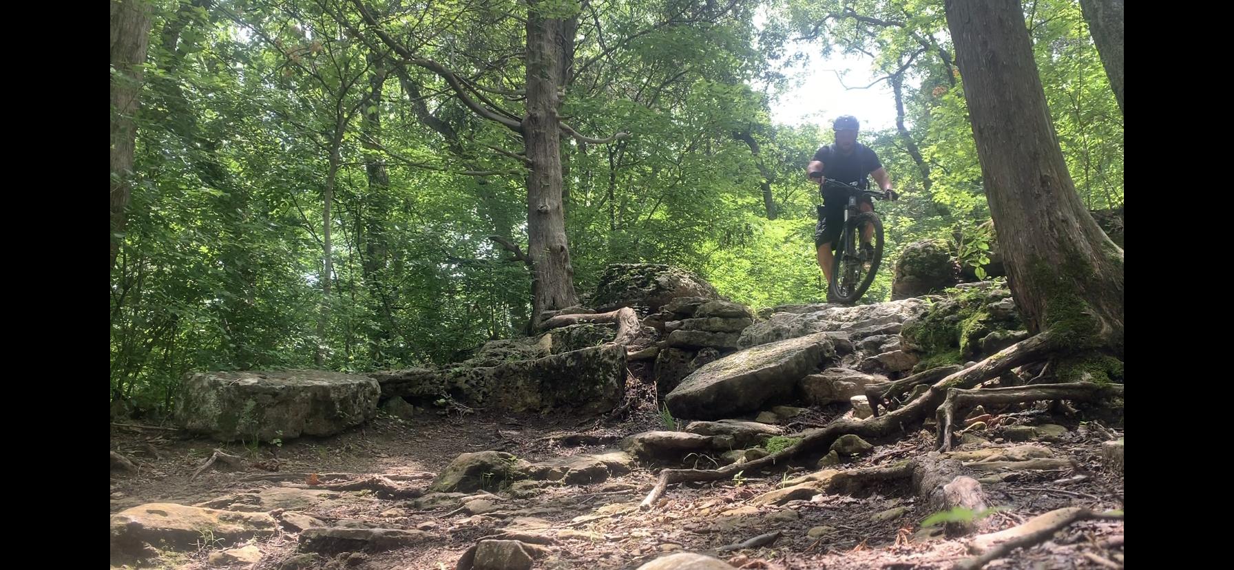 A mountain biker navigating a rocky trail in a lush, green forest. The scene features a mix of trees and boulders, with rays of sunlight filtering through the foliage, creating a vibrant and adventurous atmosphere. Chubb Trail mountain bike trail.