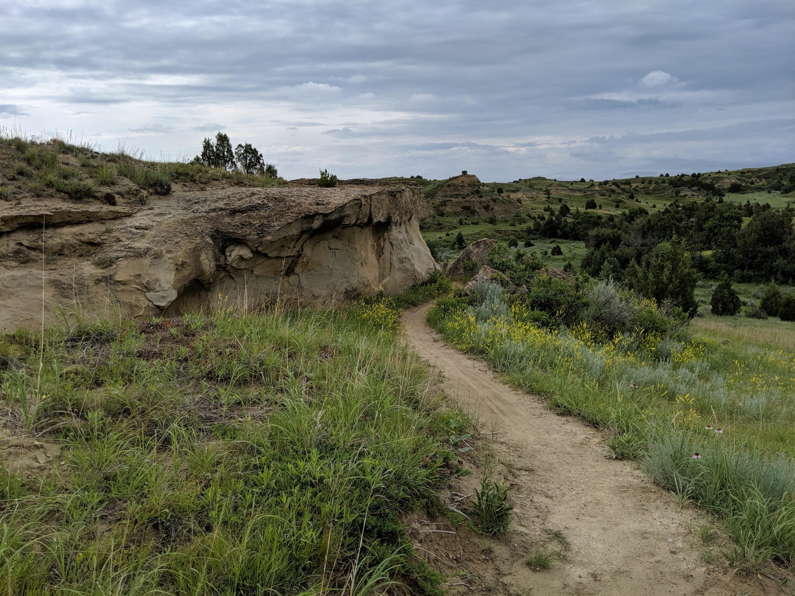 A winding dirt path leads through a grassy landscape featuring low hills and rocky outcrops. The scene is set under a cloudy sky, with patches of wildflowers visible alongside the path and greenery in the background. Maah Daah Hey mountain bike trail.