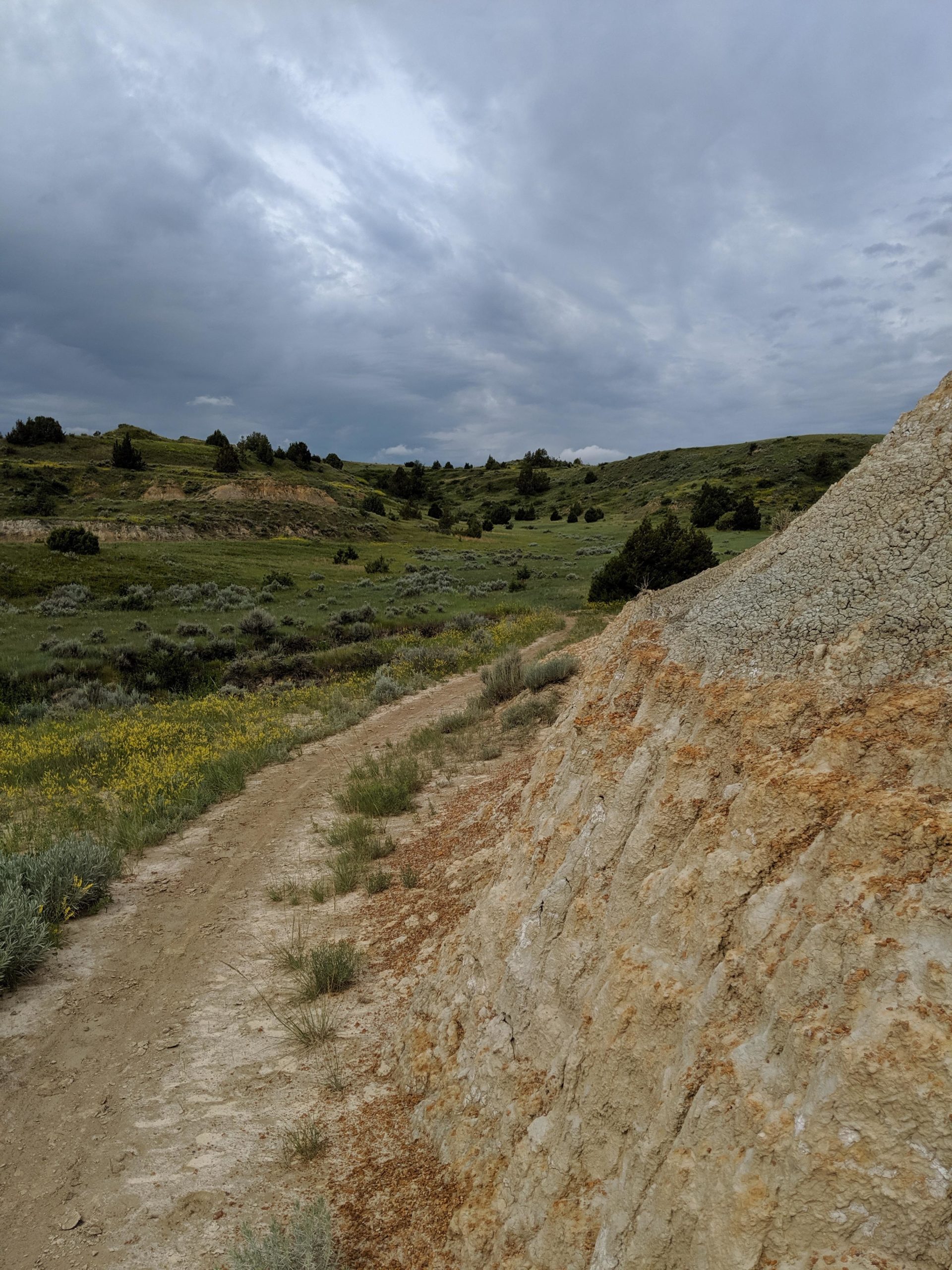 A scenic view of a winding dirt path alongside a rugged hillside, with lush green vegetation and patches of wildflowers. The sky is cloudy, suggesting an overcast day, while the terrain features a mix of grass and rocky outcrops. Maah Daah Hey mountain bike trail.
