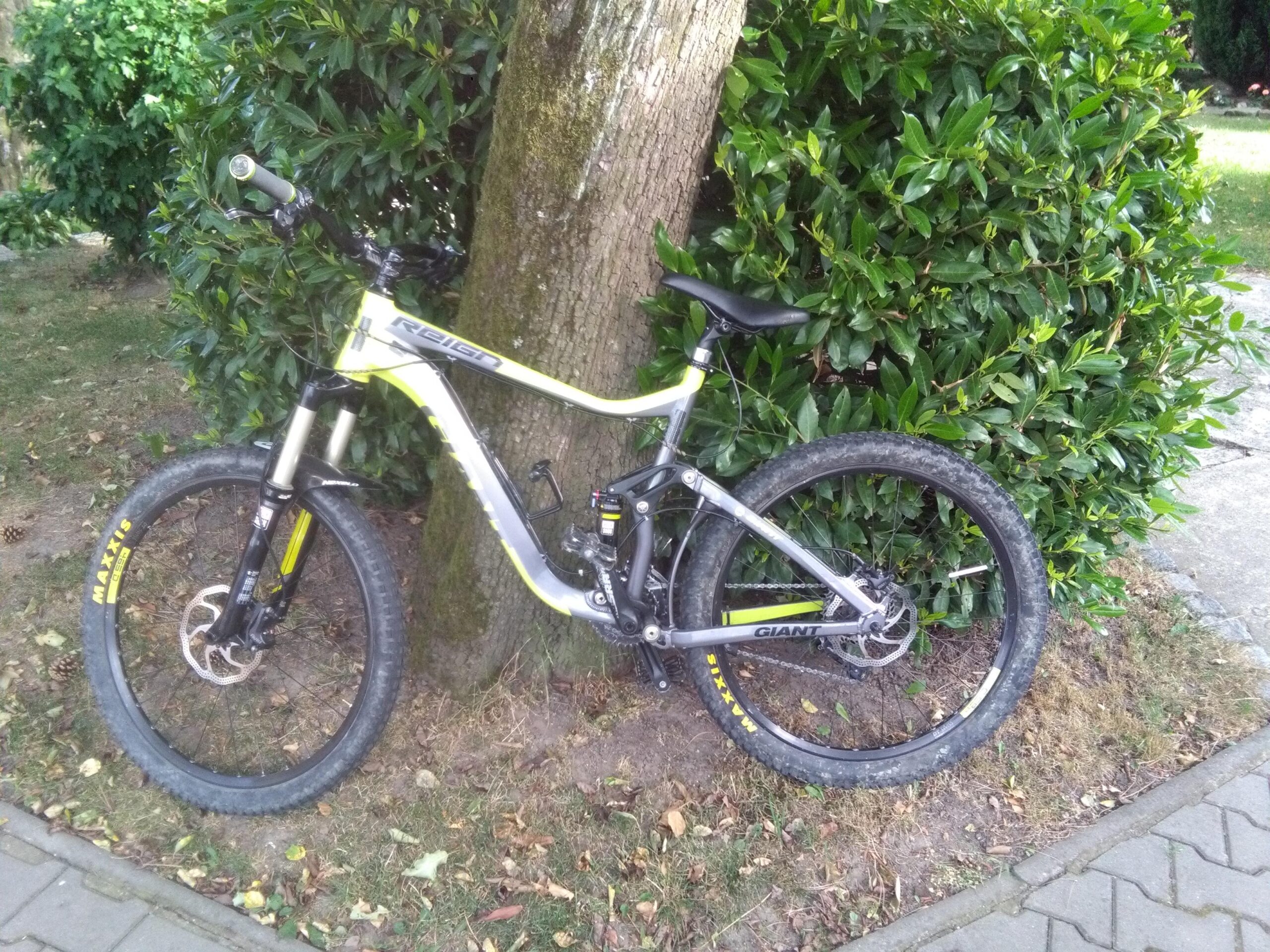 Giant Reign 2: A mountain bike leaning against a tree, surrounded by greenery and grass. The bike has a yellow and black design, featuring large tires suitable for off-road riding.