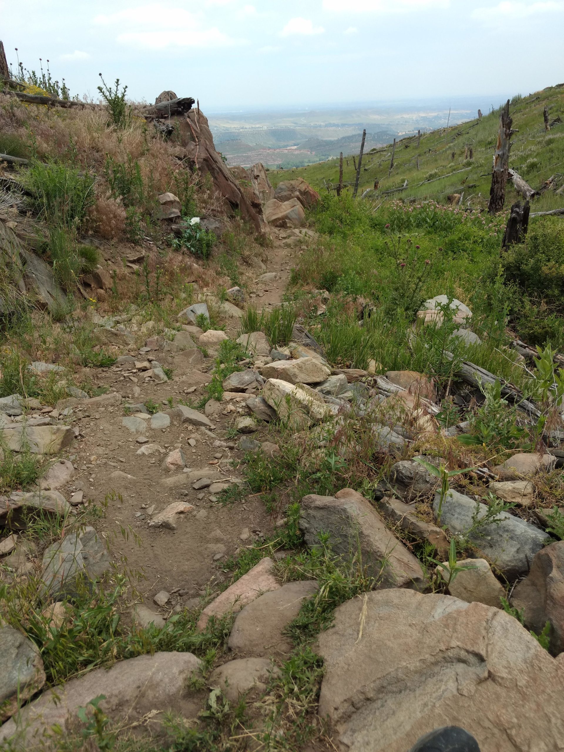 A rocky dirt path winding through a hilly landscape, bordered by green grass and wild plants. In the background, distant hills and a cloudy sky are visible, creating a scenic view of the natural surroundings. Ginny Trail mountain bike trail.