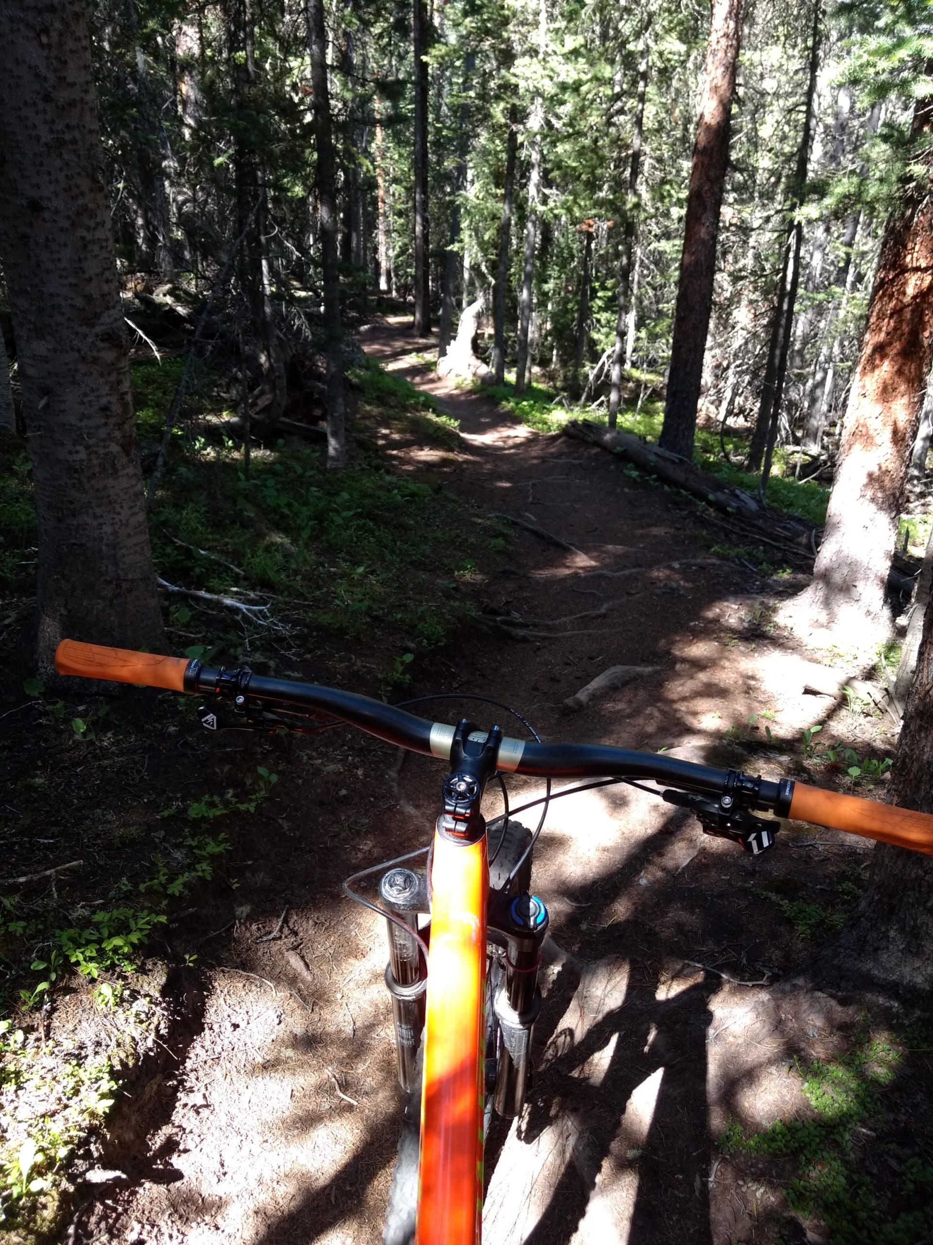 A view from the handlebars of a mountain bike on a narrow dirt trail winding through a dense forest. Sunlight filters through the trees, casting dappled shadows on the trail. Lush green foliage is visible along the path, indicating a natural, wooded environment. Colorado Trail: Searle Pass and Kokomo Pass (Copper Mountain to Camp Hale) mountain bike trail.