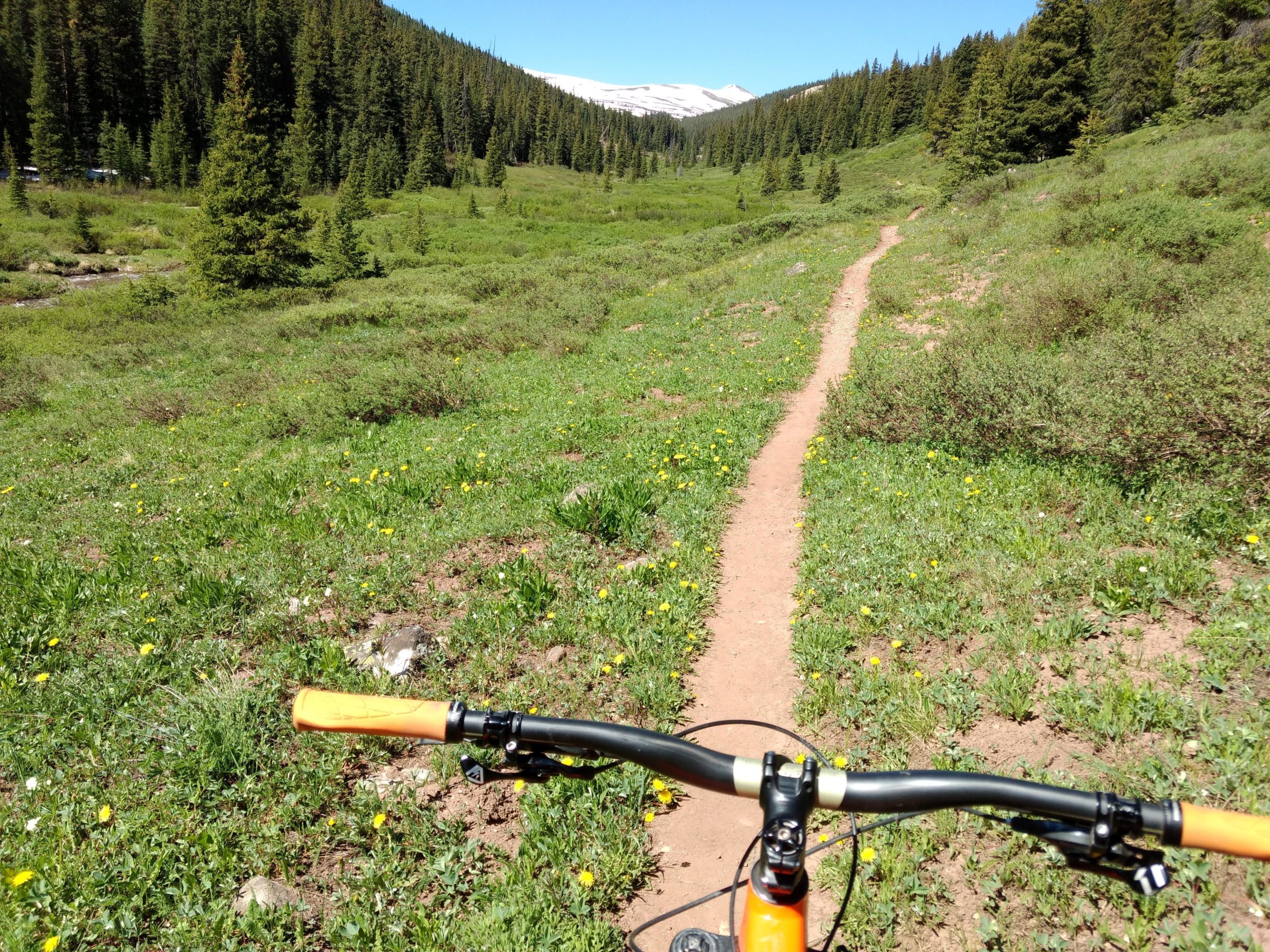 A mountain biking scene showcasing a dirt trail winding through a lush, green valley filled with wildflowers. Pine trees line the sides, leading to snow-capped mountains in the distance under a clear blue sky. The handlebars of a mountain bike are in the foreground, emphasizing the adventurous landscape ahead. Colorado Trail: Searle Pass and Kokomo Pass (Copper Mountain to Camp Hale) mountain bike trail.
