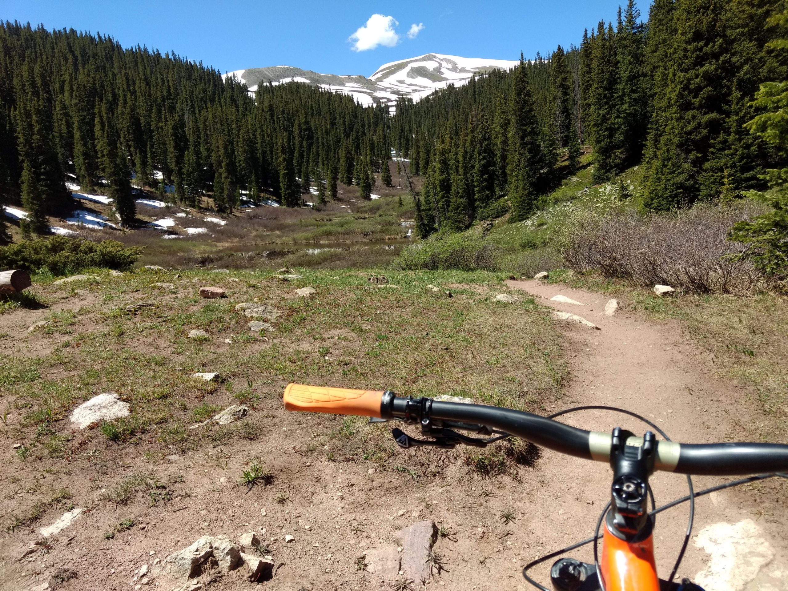 A mountain biking view from the handlebars, showing a dirt trail winding through a lush green valley surrounded by tall evergreen trees and snow-capped mountains in the background under a clear blue sky. Colorado Trail: Searle Pass and Kokomo Pass (Copper Mountain to Camp Hale) mountain bike trail.