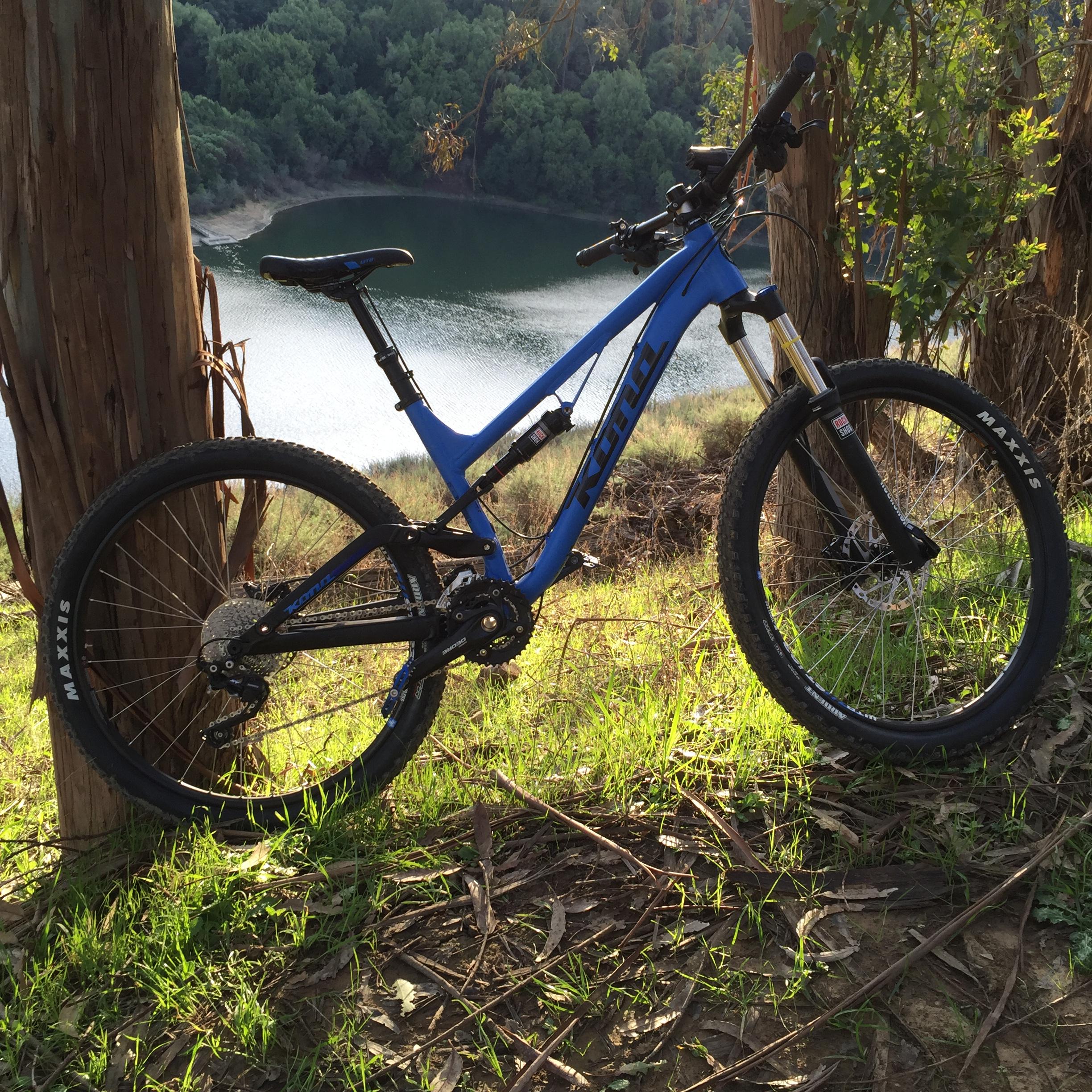 Kona Process 134: A blue mountain bike is leaning against a tree on a grassy hillside overlooking a serene lake surrounded by lush greenery. The sunlight highlights the bike, showcasing its design and features.