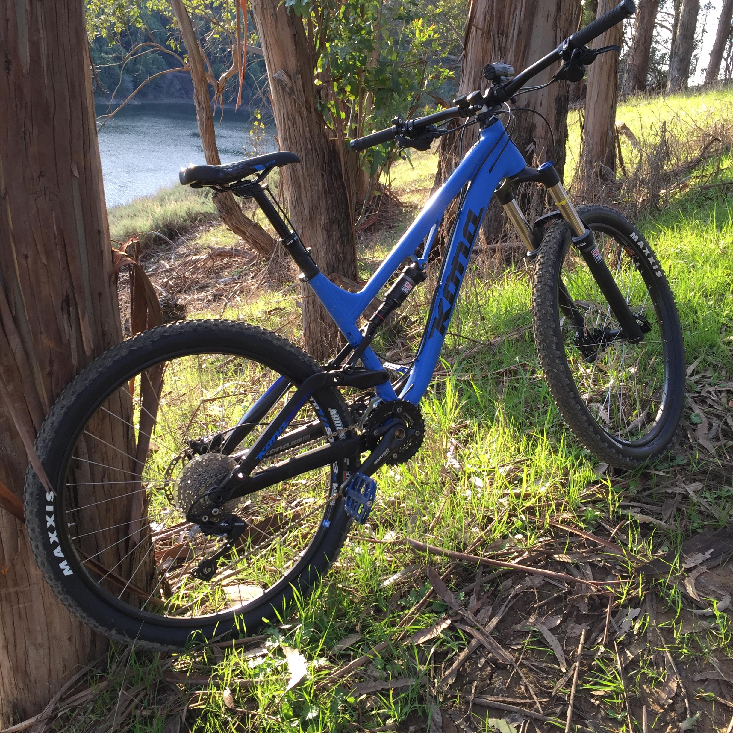 Kona Process 134: A blue mountain bike resting against a tree, surrounded by green grass and foliage, with a body of water in the background. Sunlight filters through the trees, creating a serene outdoor scene.