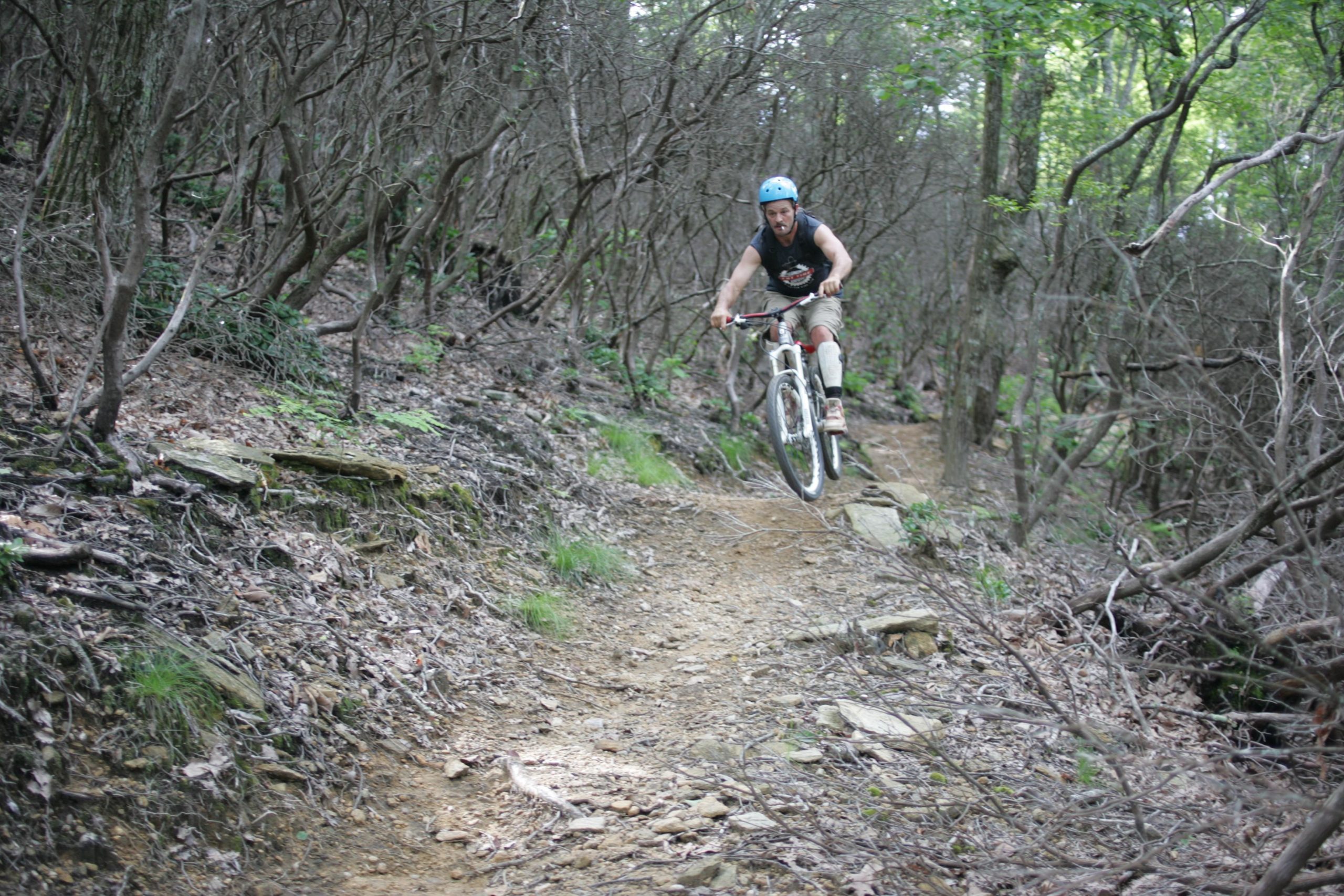 A mountain biker in mid-air jumps over a small rock on a narrow, dirt trail surrounded by dense trees and underbrush. The cyclist wears a blue helmet and is dressed in a sleeveless shirt and shorts, showcasing an adventurous spirit in a natural, wooded environment. Weed Patch Mountain Trail mountain bike trail.
