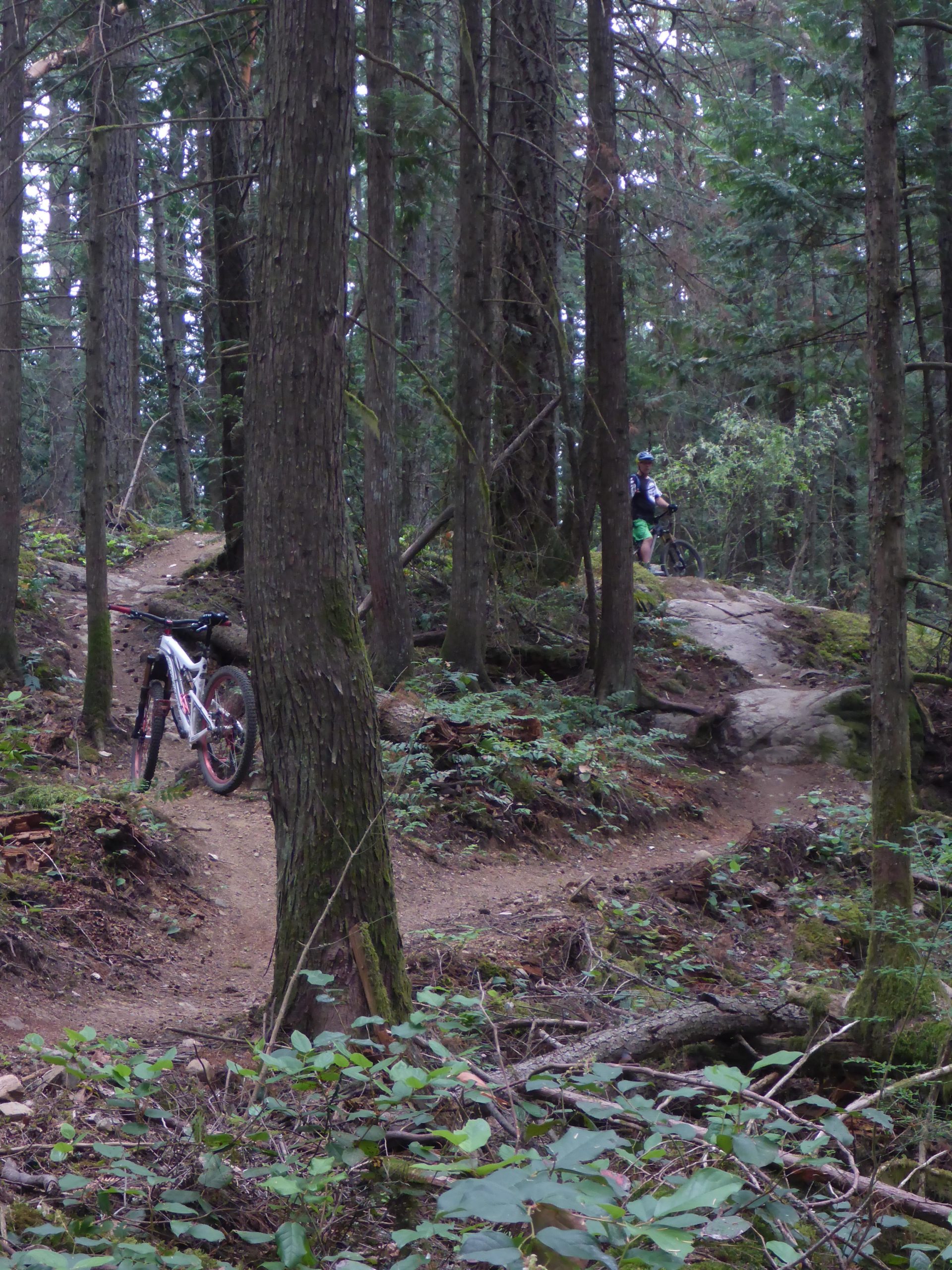 A cyclist standing beside a mountain bike on a dirt trail in a dense forest. Tall trees surround the area, with patches of greenery and underbrush visible along the path. The trail curves gently, leading deeper into the woods. Rusty Cable and Baker Street mountain bike trail.