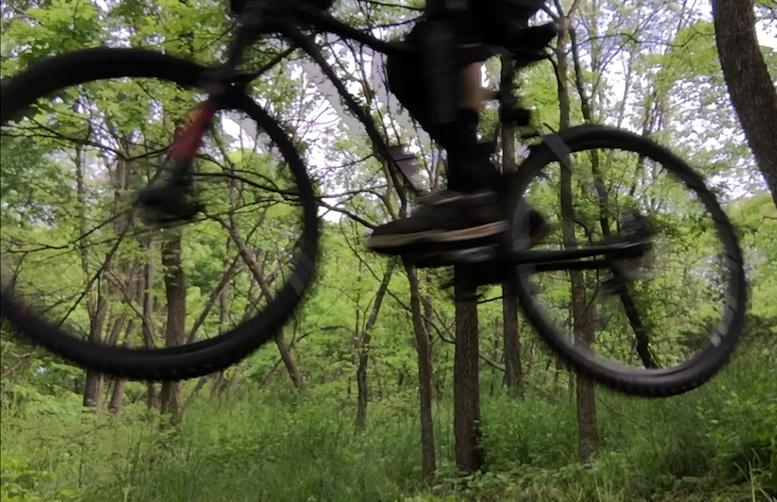 Specialized Rockhopper 29: Mountain bike mid-jump in a lush green forest, surrounded by trees and undergrowth.