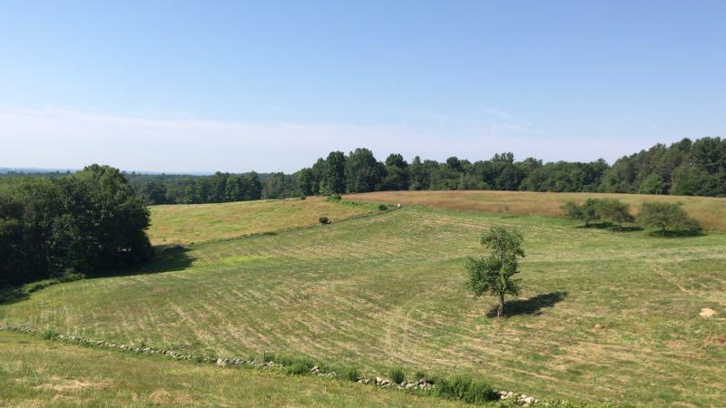 A scenic view of rolling green fields under a clear blue sky, with patches of trees and a gentle slope in the background. The landscape features well-manicured grass and a stone wall lining the edge of the field, suggesting a tranquil rural setting. Ward Reservation mountain bike trail.
