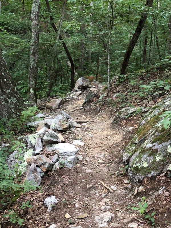 A rocky hiking trail winding through a lush green forest, flanked by trees and vegetation. The path is bordered by a stone wall made of various sized rocks, while scattered leaves and dirt cover the ground. Talking Rock Nature Preserve mountain bike trail.