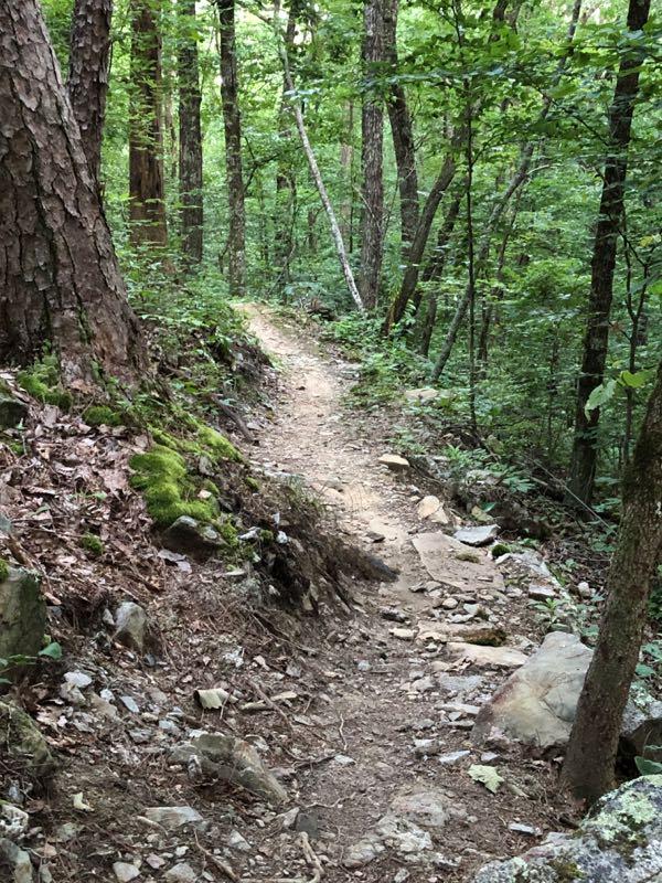 A narrow, winding dirt trail leads through a lush green forest, surrounded by tall trees and dense foliage. The path is lined with rocks and roots, with patches of moss and fallen leaves on the ground, inviting exploration of the natural landscape. Talking Rock Nature Preserve mountain bike trail.