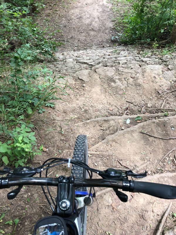 Alt text: A view from the handlebars of a mountain bike, showing a rocky, steep path descending into a wooded area. The ground is uneven with patches of dirt and greenery on either side. Santa Fe Lake Trail mountain bike trail.