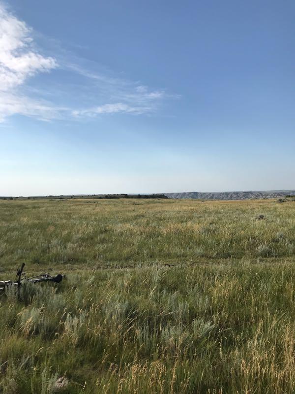 A wide view of a grassy field under a clear blue sky, with gentle hills in the distance and a few scattered clouds. In the foreground, tall grasses and wildflowers sway in the breeze, while a rustic wooden object lies on the ground. The landscape conveys a sense of open space and natural beauty. Long X mountain bike trail.