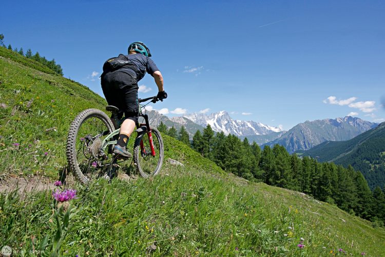 A mountain biker ascends a green hillside surrounded by wildflowers, with snow-capped mountains in the background under a clear blue sky.
