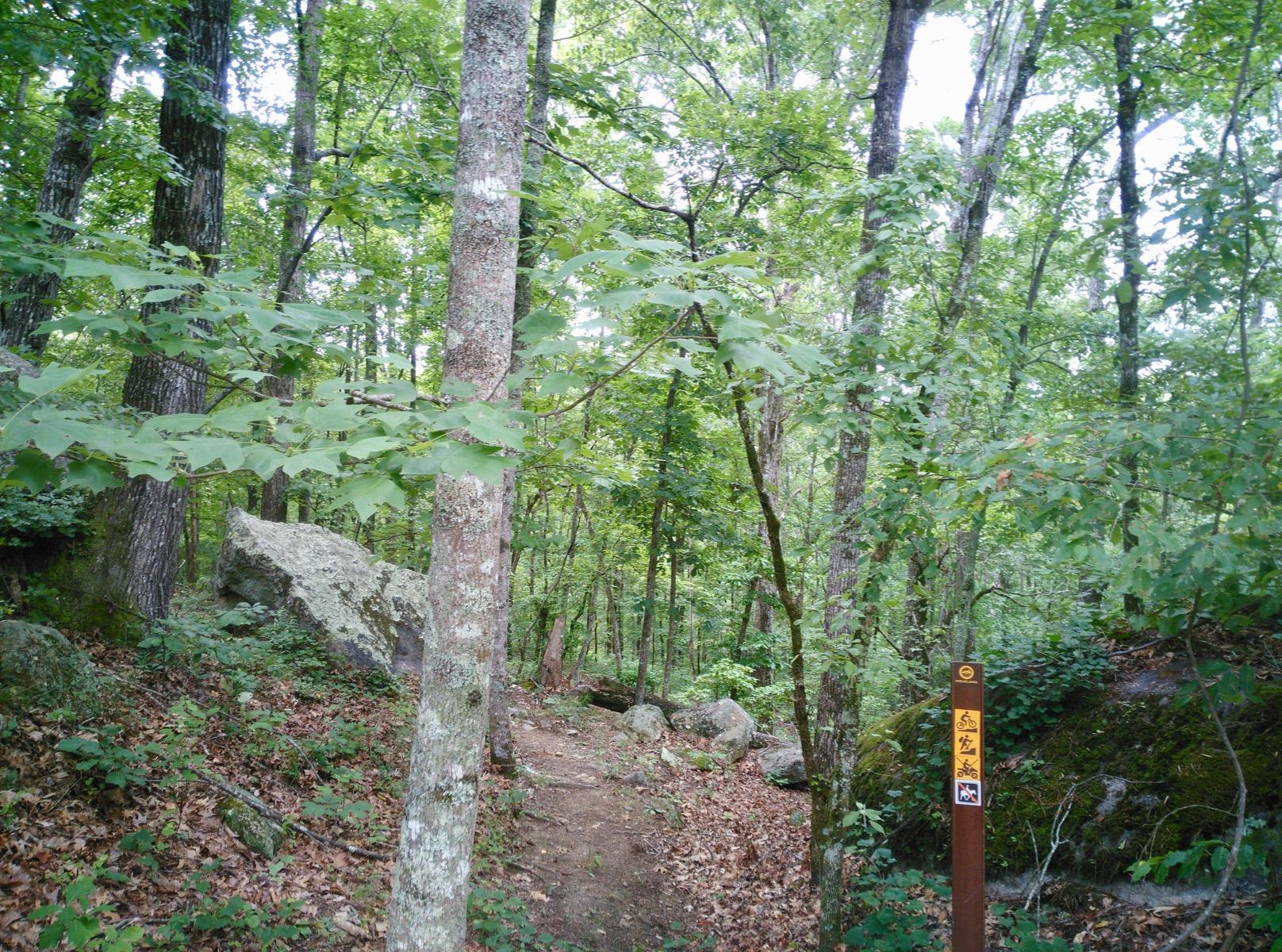 A serene forest trail surrounded by lush green trees, rocks, and fallen leaves. A trail marker is visible on the right, indicating the path's direction and restrictions. The natural light filters through the canopy, creating a peaceful atmosphere. South Rockdale Community Park mountain bike trail.