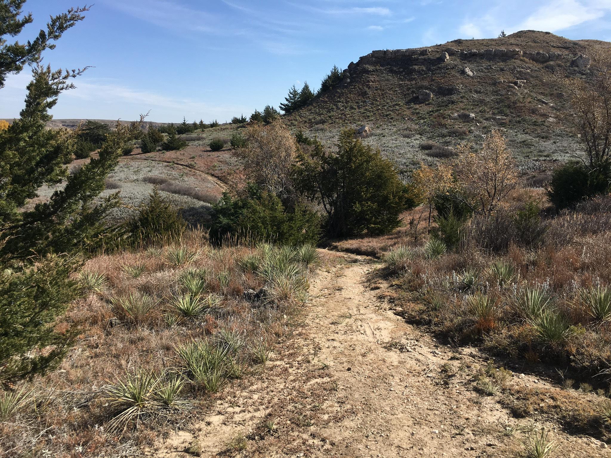 A dirt path winds through a hilly landscape, surrounded by patches of grass and sparse trees. The terrain features gentle slopes and is dotted with shrubs and small plants, under a clear blue sky. Sunlight casts soft shadows, highlighting the natural beauty of the area. Scott Lake Trail mountain bike trail.