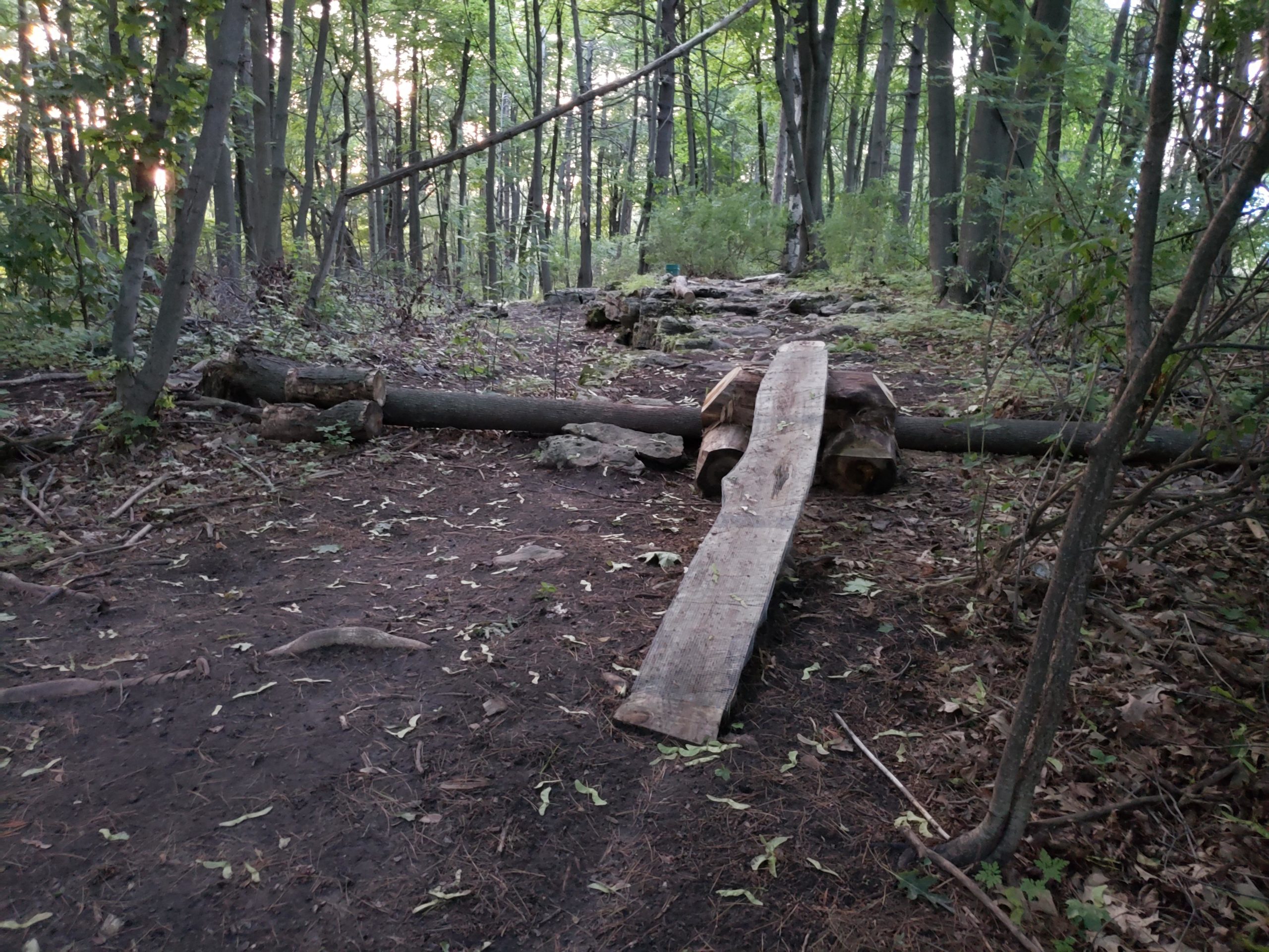 A wooden bridge made from logs spans a small path in a wooded area, surrounded by trees and scattered leaves on the ground. Soft sunlight filters through the foliage, creating a peaceful natural setting. Black Diamond Loop mountain bike trail.