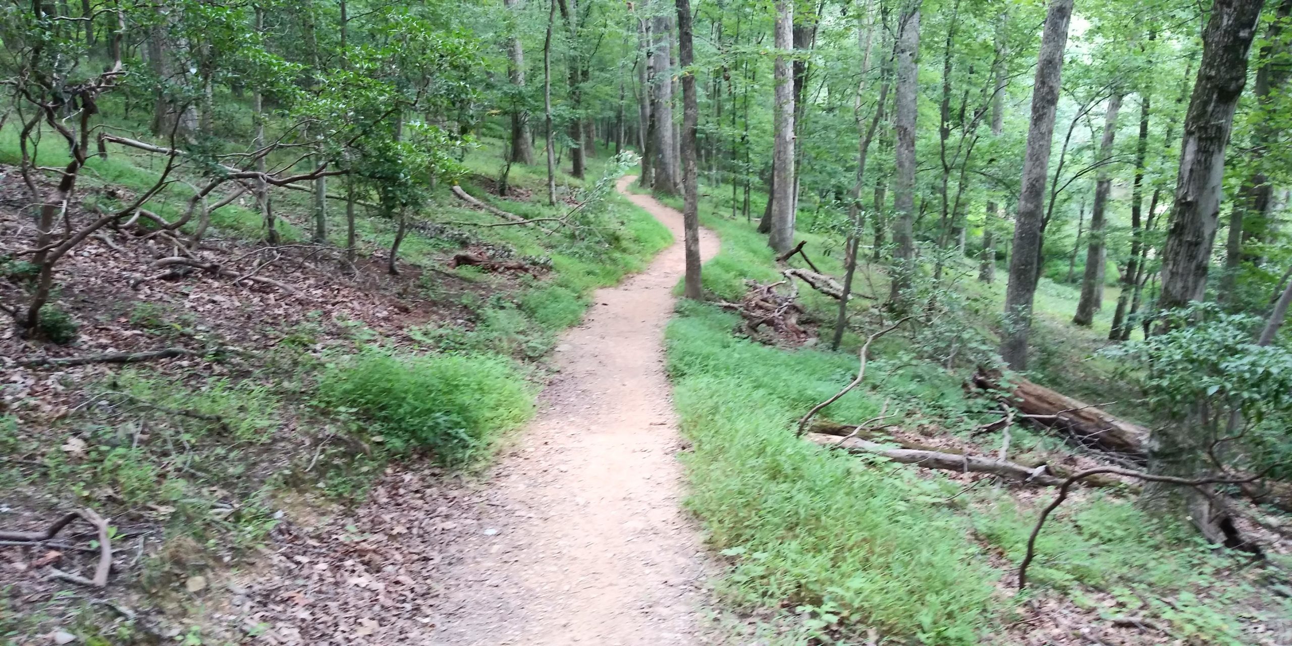 A winding dirt path leading through a lush green forest, surrounded by tall trees and vegetation. The trail is bordered by grass and fallen branches, creating a serene and natural environment. Seneca Creek Greenway Trail mountain bike trail.