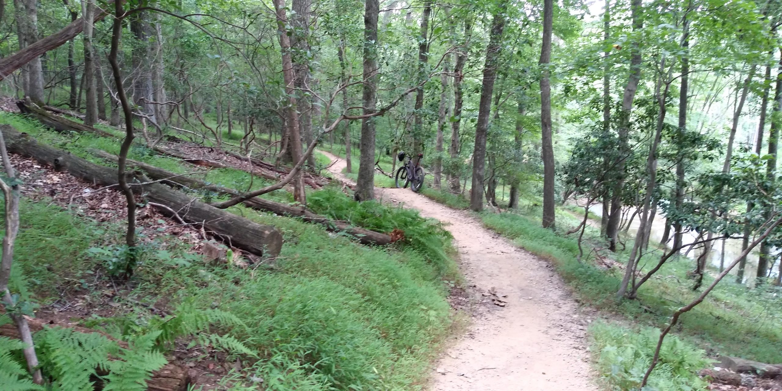 A winding dirt bike trail through a lush green forest, featuring tall trees and ferns along the path. A bicycle is parked to the side on the trail, with a glimpse of a nearby water body visible through the trees. Seneca Creek Greenway Trail mountain bike trail.