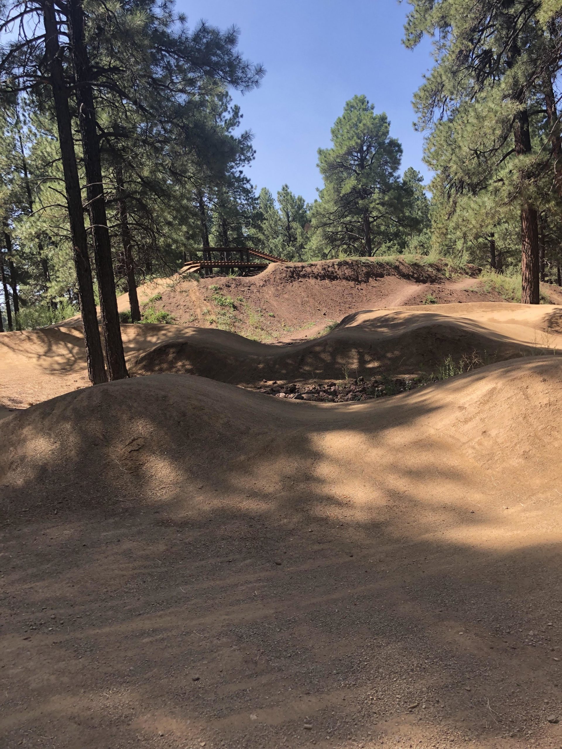 A dirt biking trail winding through a forested area, featuring smooth, sandy hills and a wooden bridge in the background, under a clear blue sky. Pine trees surround the trail, casting shadows on the ground. Soldiers Loop / Fairgrounds trails mountain bike trail.