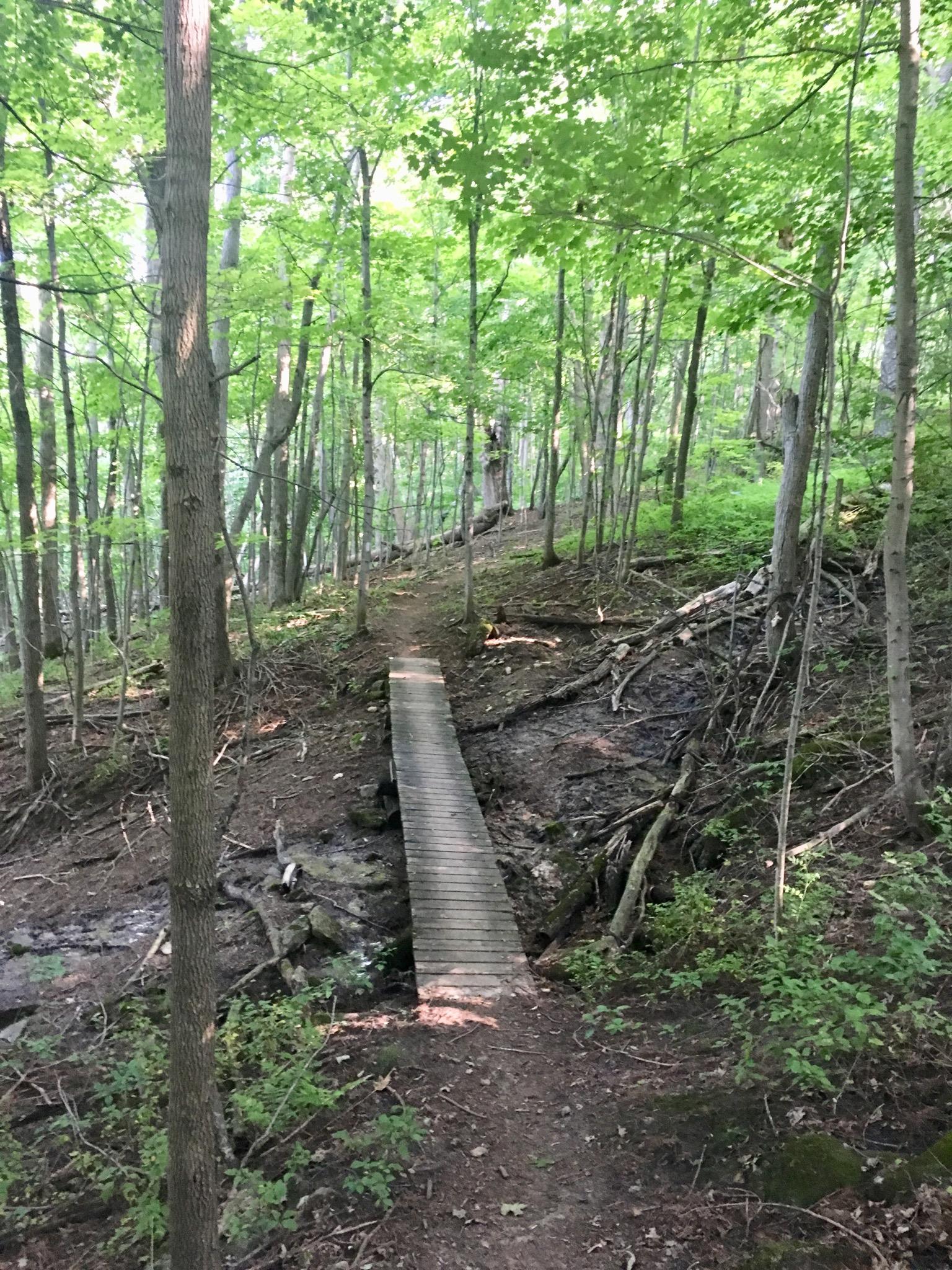 A narrow wooden bridge crosses a small stream, set among lush green trees in a serene forest. The path leading up to the bridge is lined with earthy soil and various plants, creating a peaceful natural scene. Inglis falls West rock mountain bike trail.