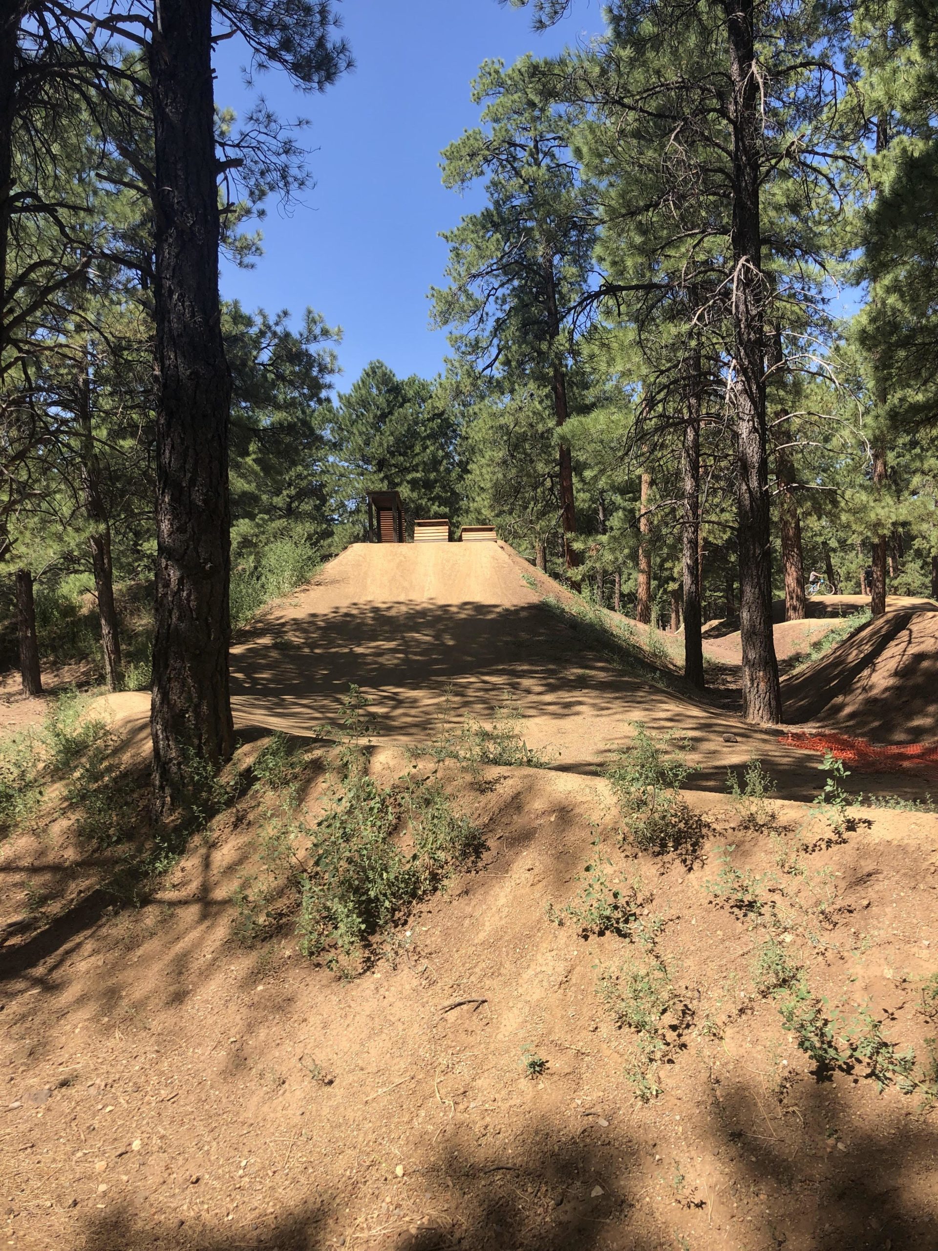 A dirt ramp or jump in a wooded area, surrounded by tall pine trees under a clear blue sky. The ramp has a smooth surface and leads to a wooden platform at the top, with gentle slopes and scattered vegetation in the foreground. Soldiers Loop / Fairgrounds trails mountain bike trail.