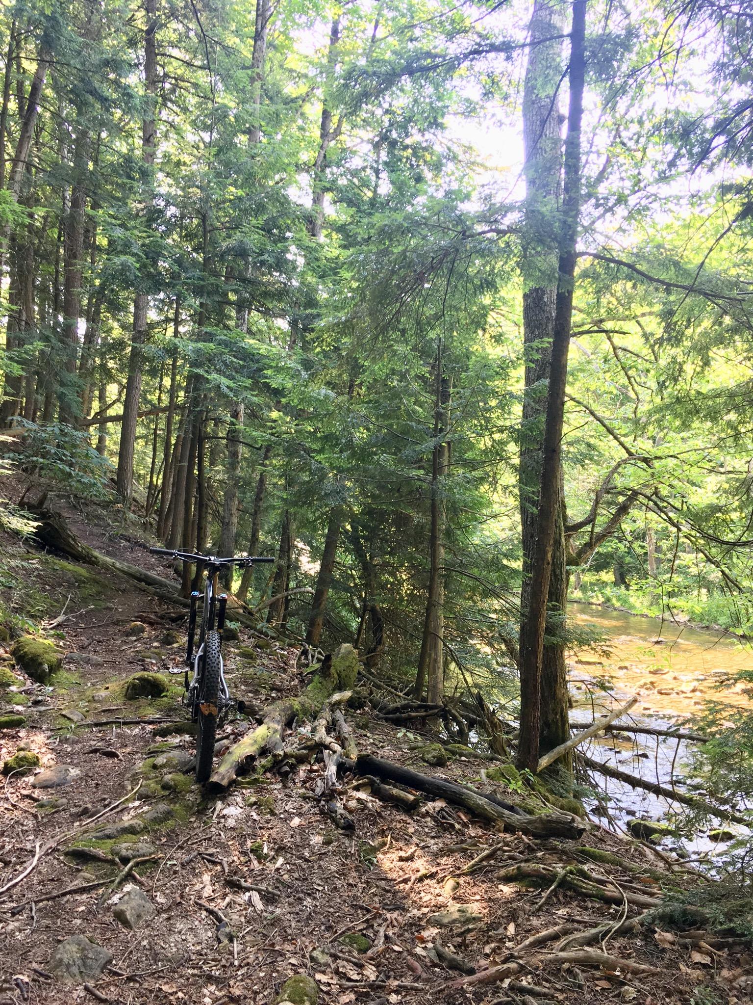 A mountain bike resting on a dirt trail surrounded by lush green trees, with a stream visible in the background. Sunlight filters through the canopy, highlighting the natural scenery. Inglis falls West rock mountain bike trail.