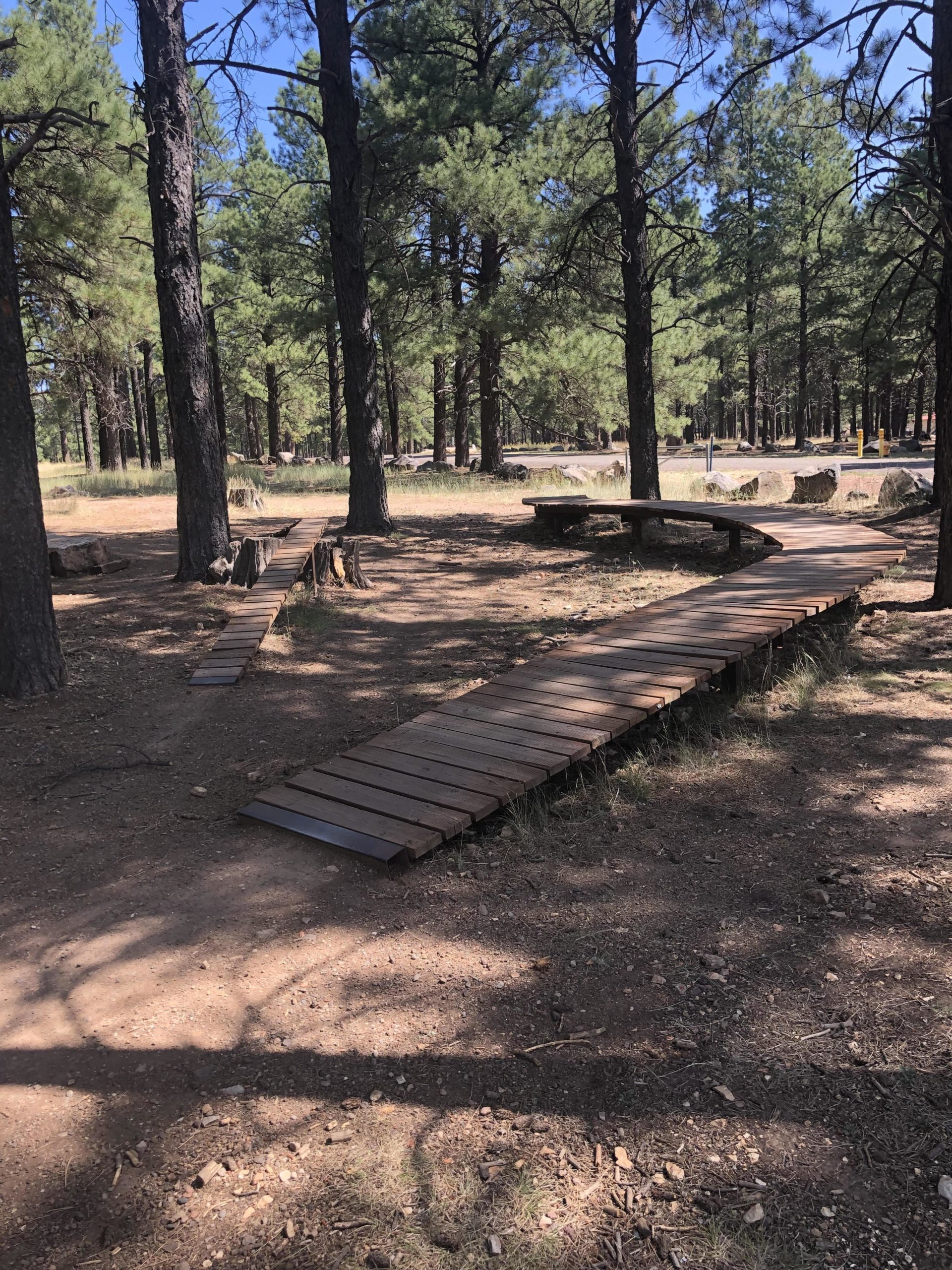 A view of a wooded area with tall pine trees, featuring two wooden paths and a wooden bench. The paths are made of dark wooden planks, leading through the natural setting, and the ground is covered with soil and small rocks. Sunlight filters through the trees, creating a serene atmosphere. Soldiers Loop / Fairgrounds trails mountain bike trail.