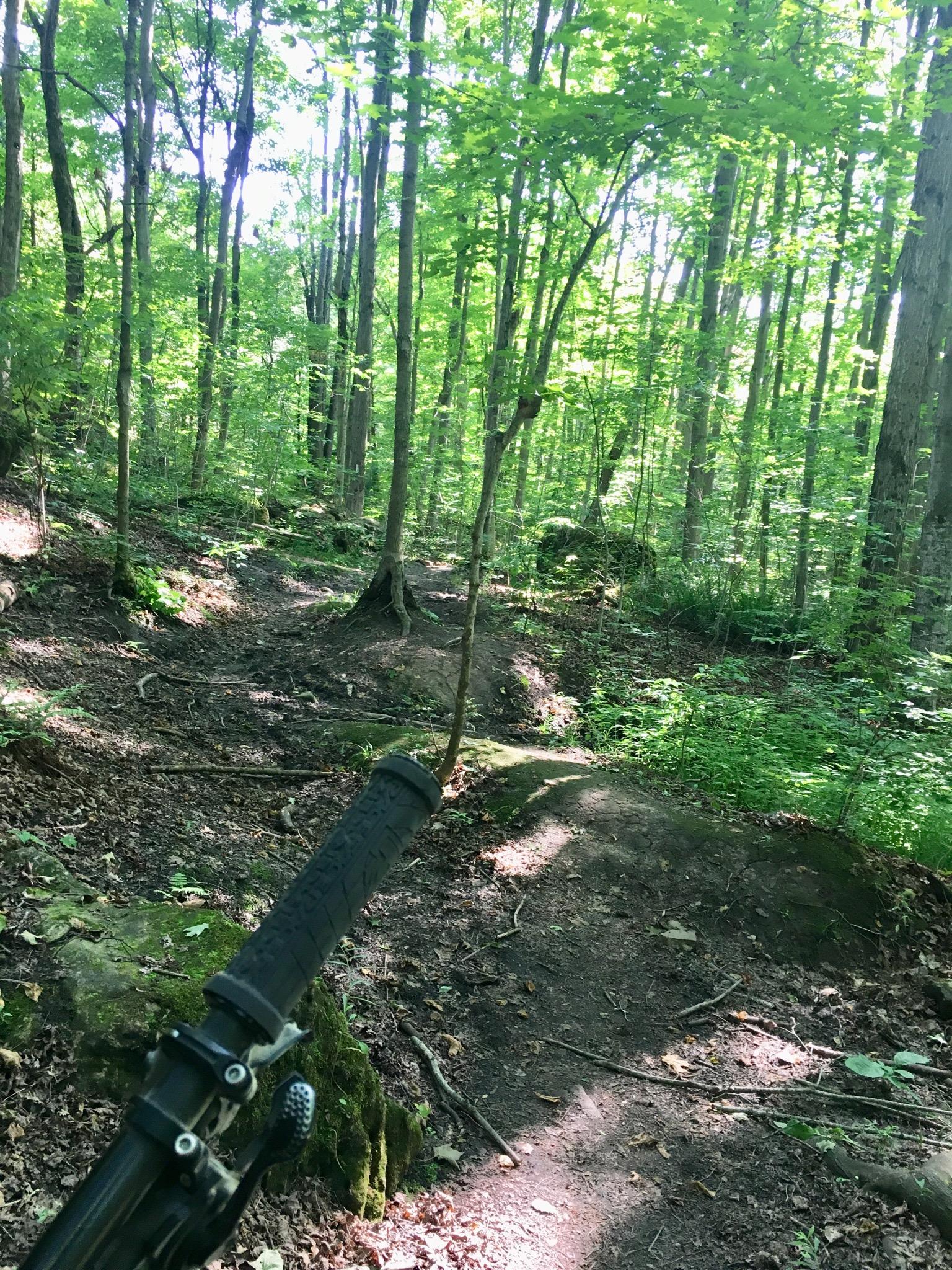 A view of a forested trail with green trees and sunlight filtering through the leaves. The image shows the handlebars of a bike in the foreground, indicating a mountain biking path that winds through the greenery. The trail appears slightly uneven with dirt and rocks visible. Inglis falls West rock mountain bike trail.